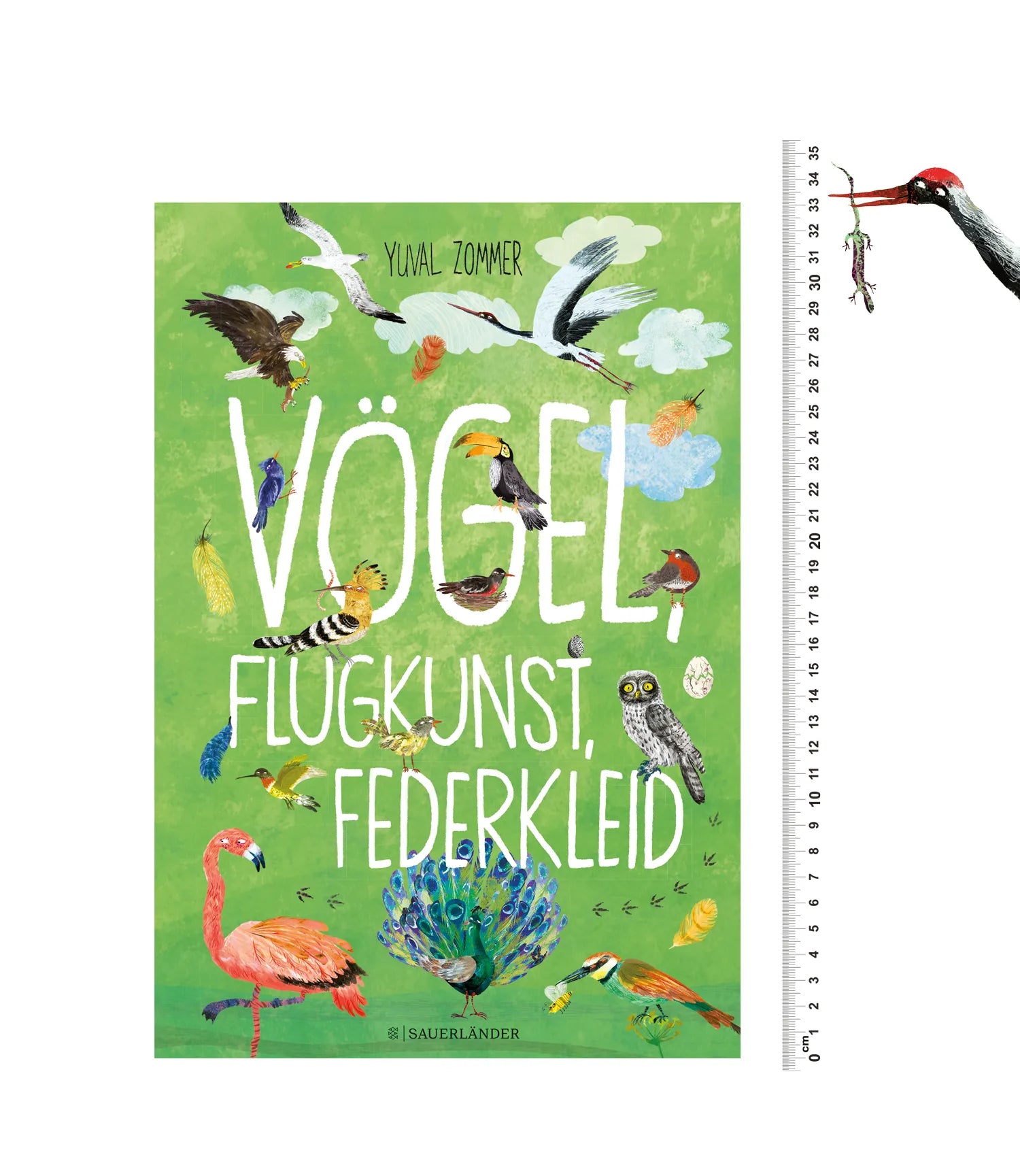 Abbildung von 'Vögel, Flugkunst, Federkleid'