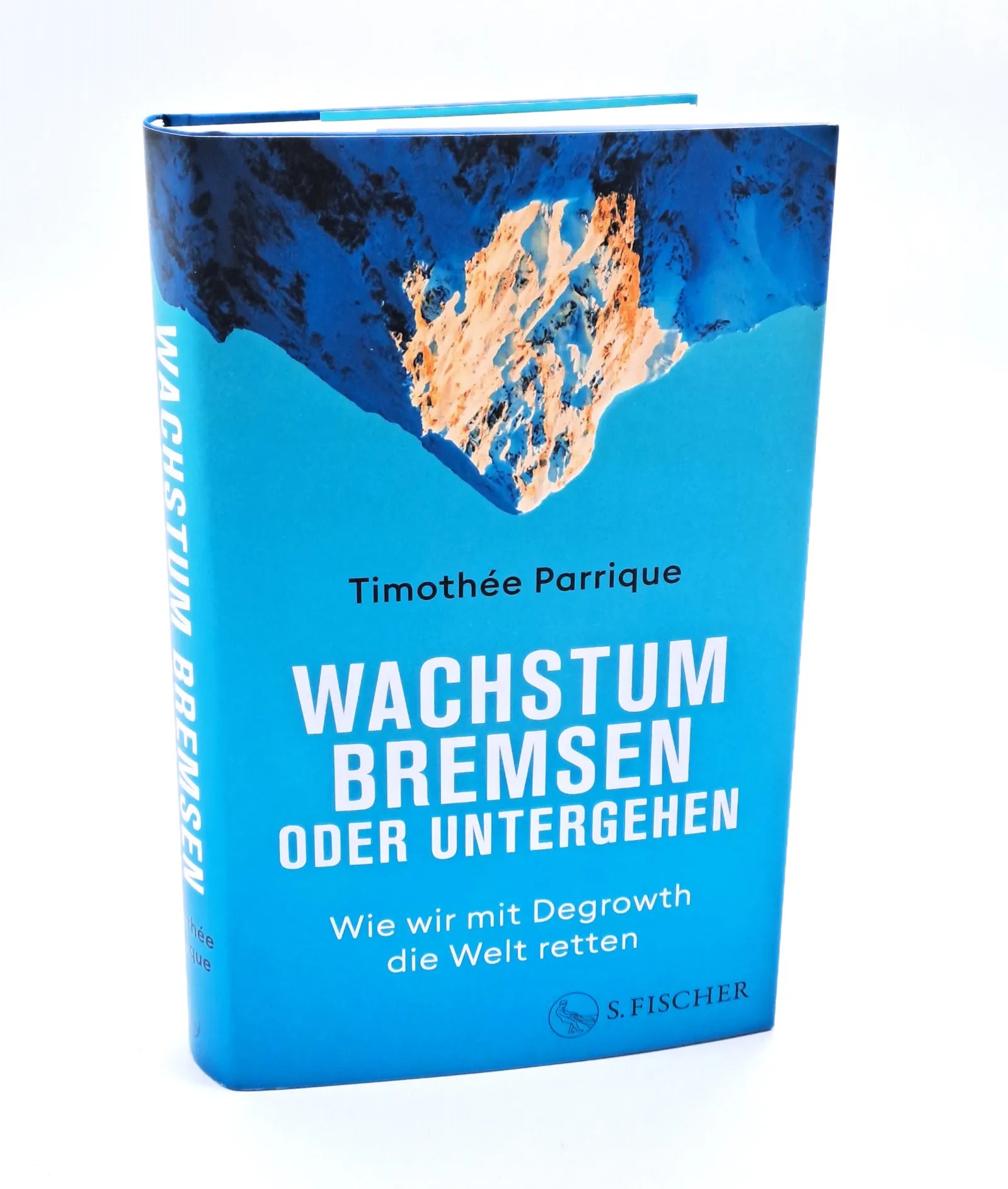 Abbildung von 'Wachstum bremsen oder untergehen'