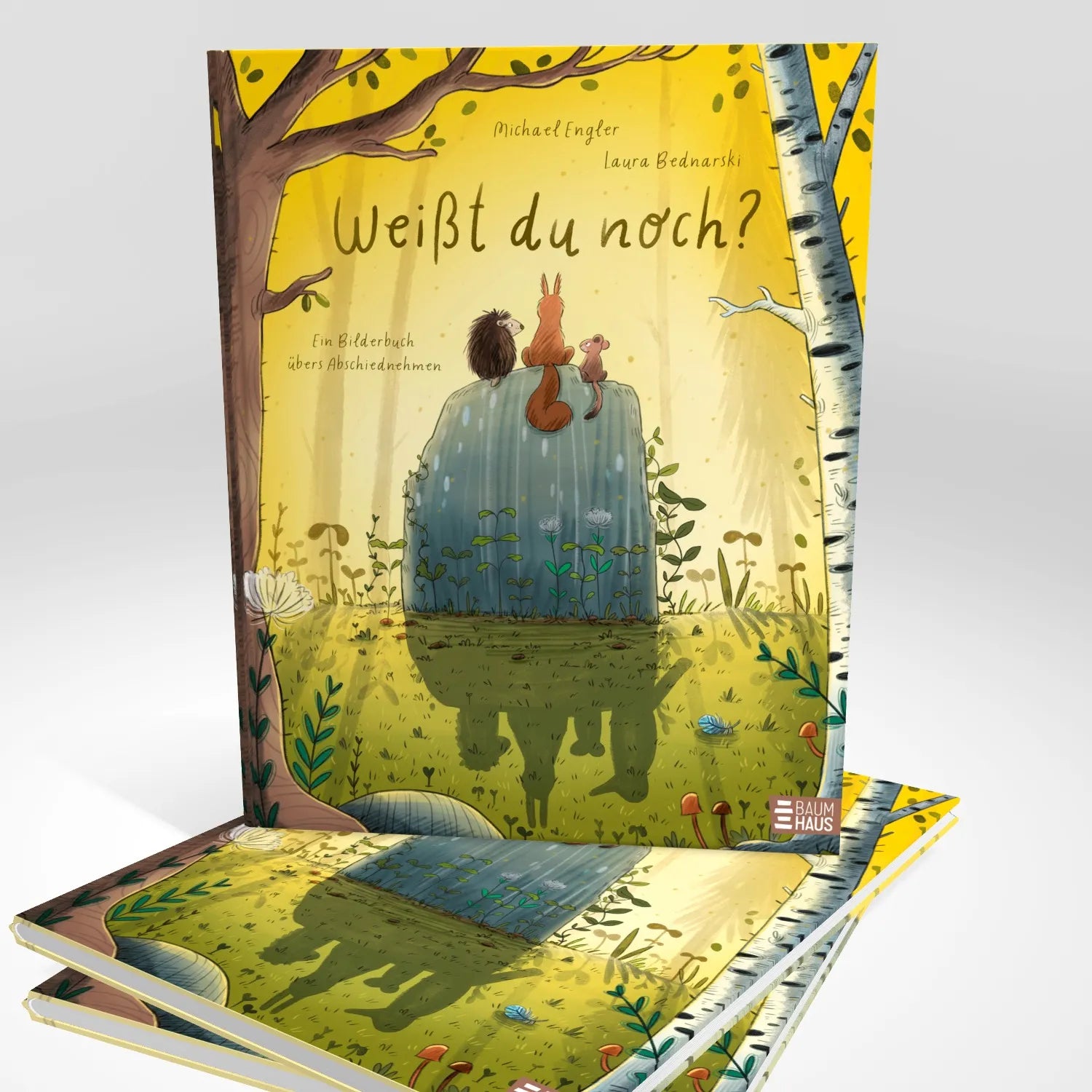 Abbildung von 'Weißt du noch? Ein Bilderbuch vom Abschiednehmen'