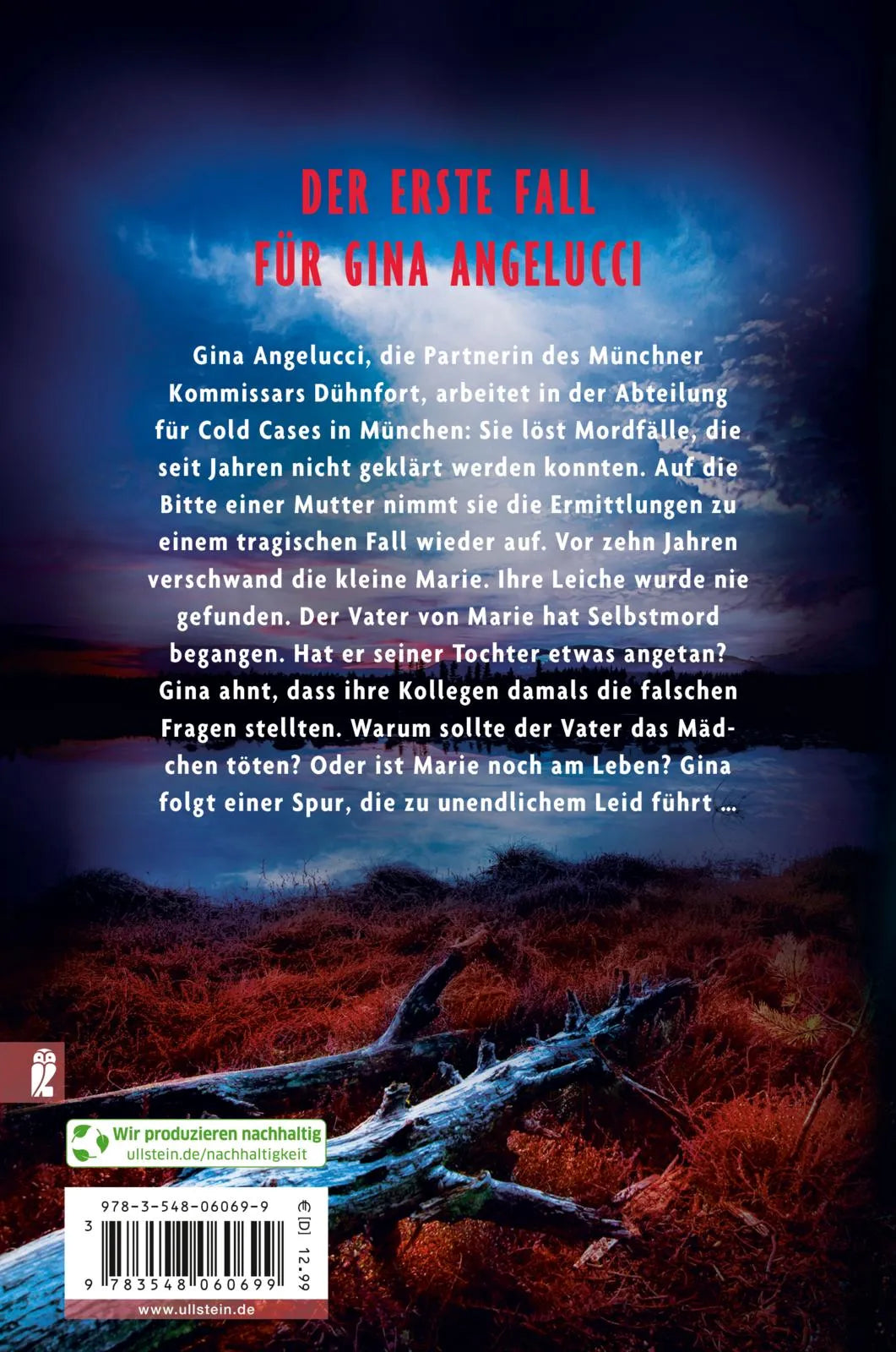 Buchrückseite von 'Gedenke mein' mit Klappentext - Taschenbuch