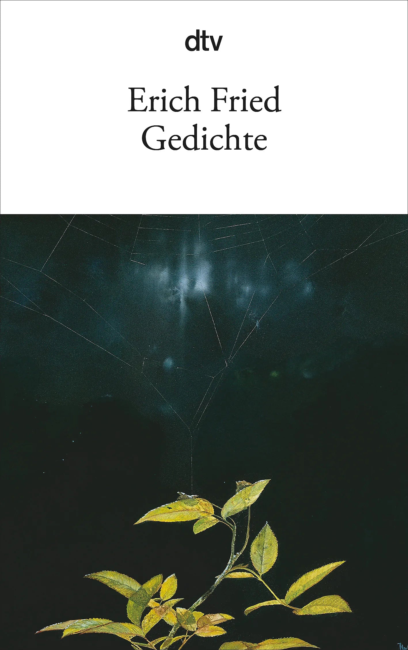 Buchcover von 'Gedichte' - Taschenbuch von Erich Fried