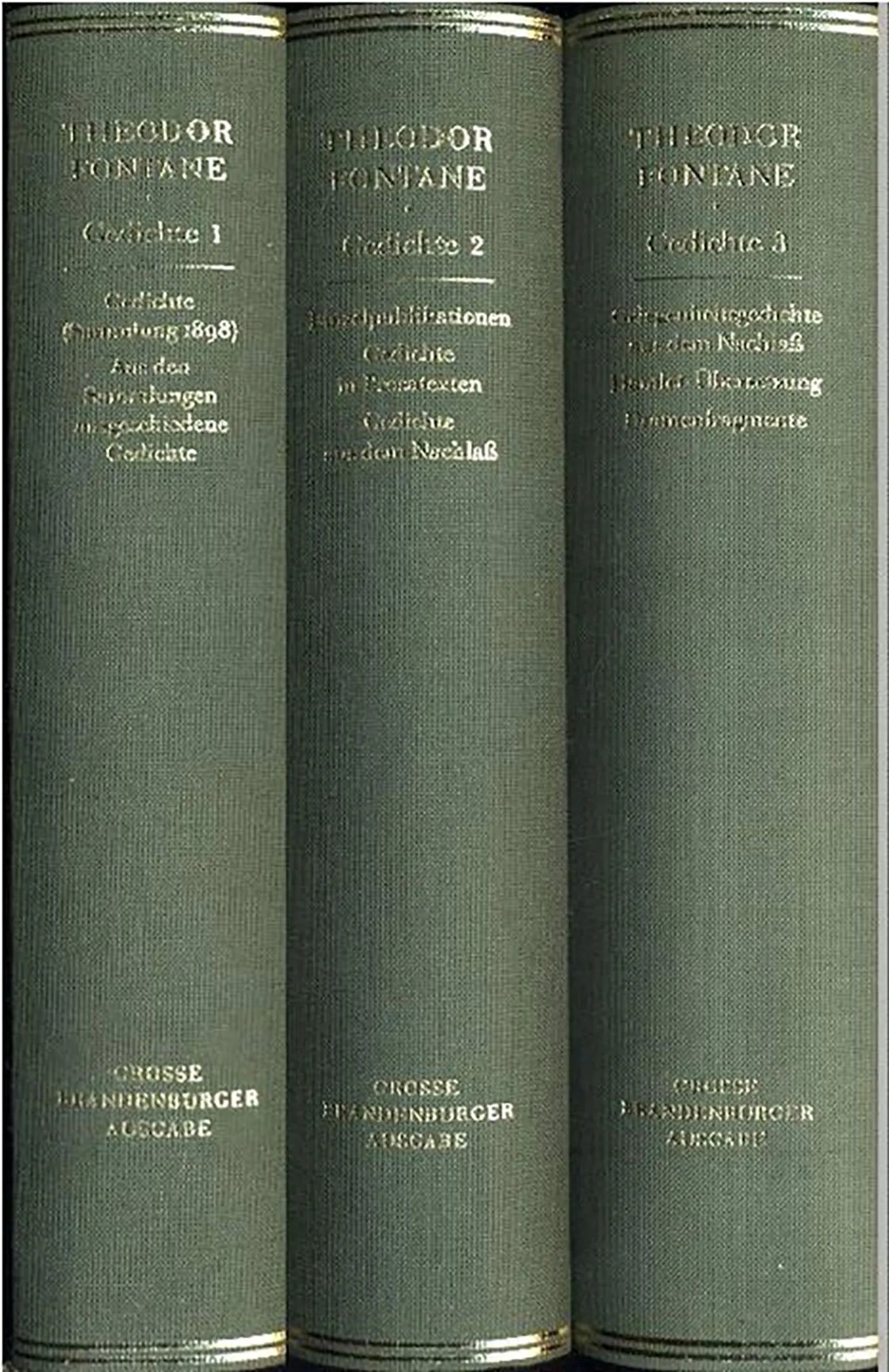 Buchcover von 'Gedichte' - Gebundene Ausgabe von Theodor Fontane