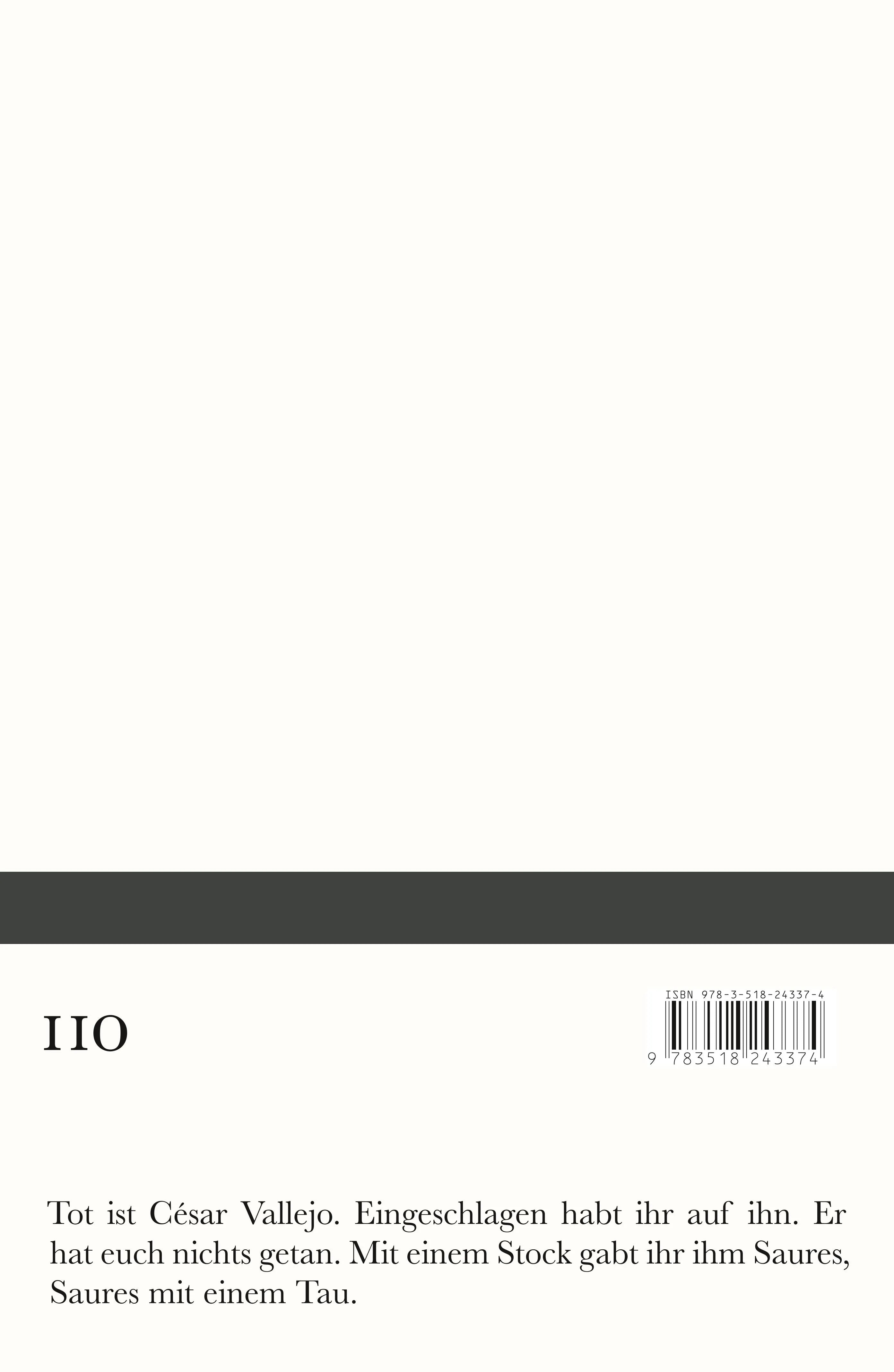 Buchrückseite von 'Gedichte' mit Klappentext - Taschenbuch