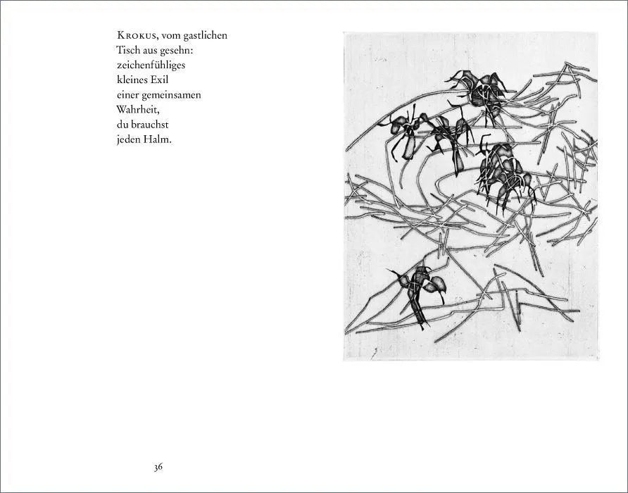 Paul Celan - Gedichte