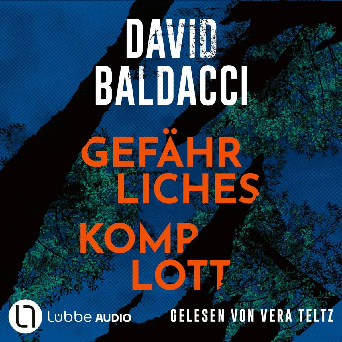 Cover: Gefährliches Komplott (Hörbuch Download) von David Baldacci