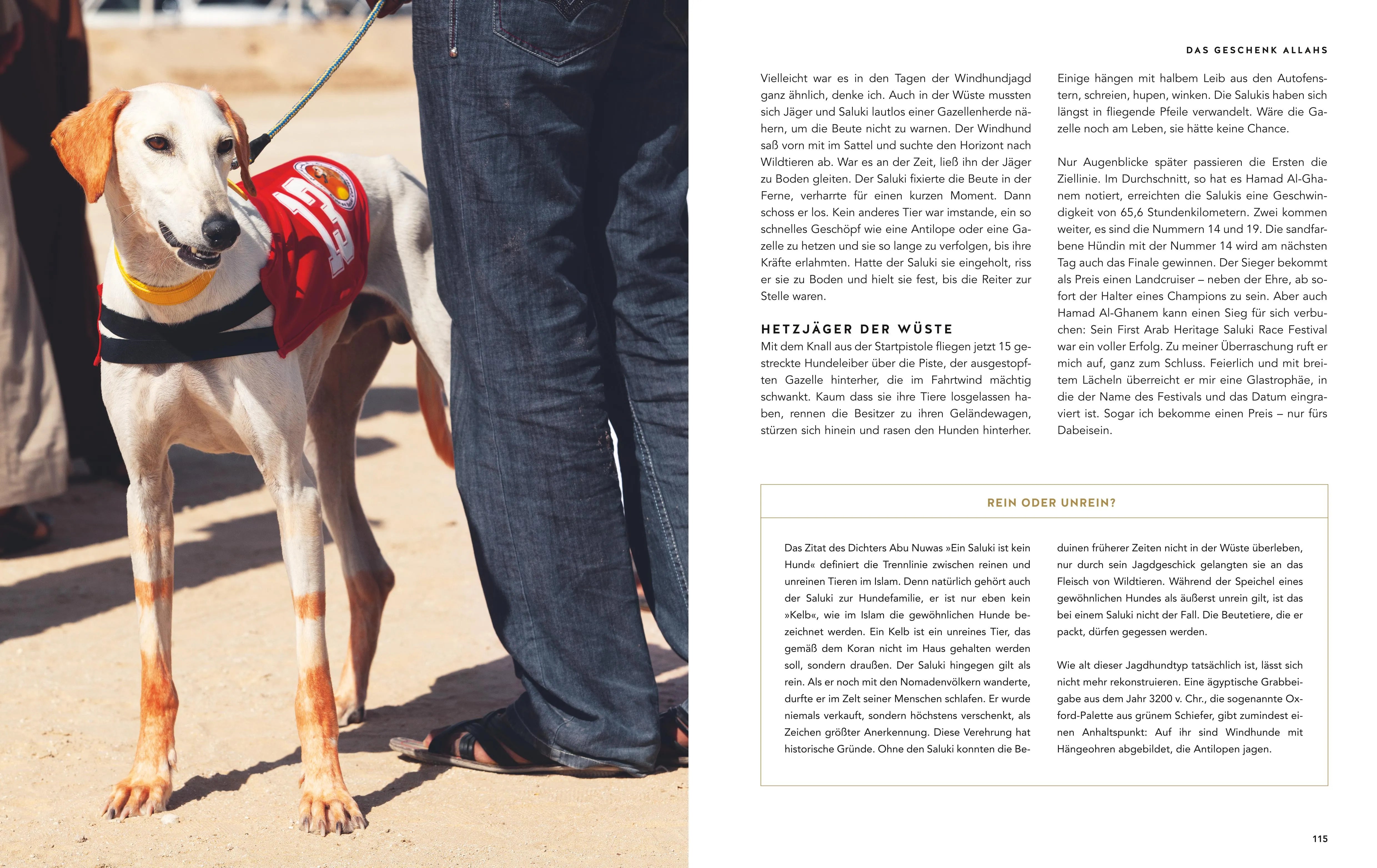 Abbildung von 'Gefährte Hund'