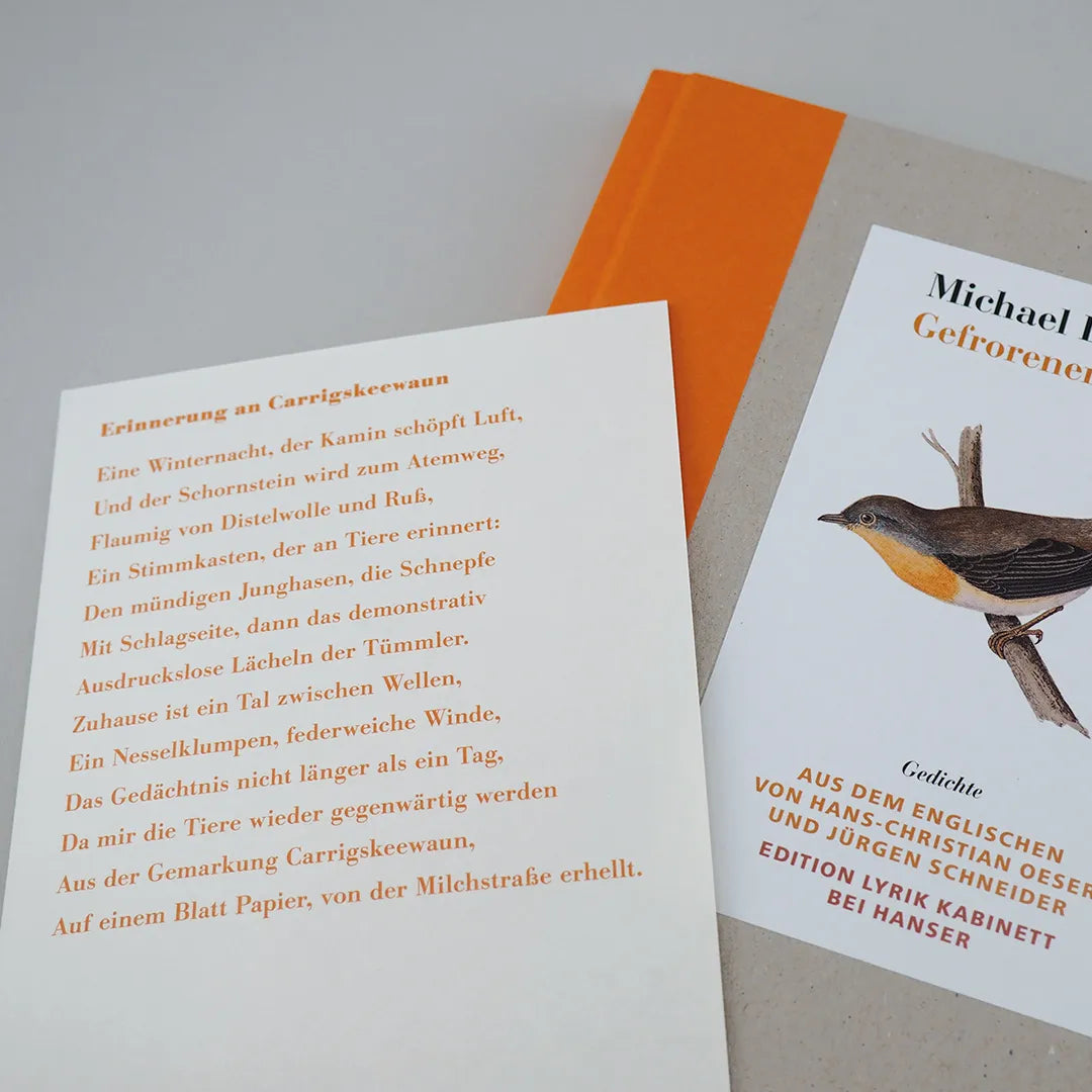 Michael Longley - Gefrorener Regen
