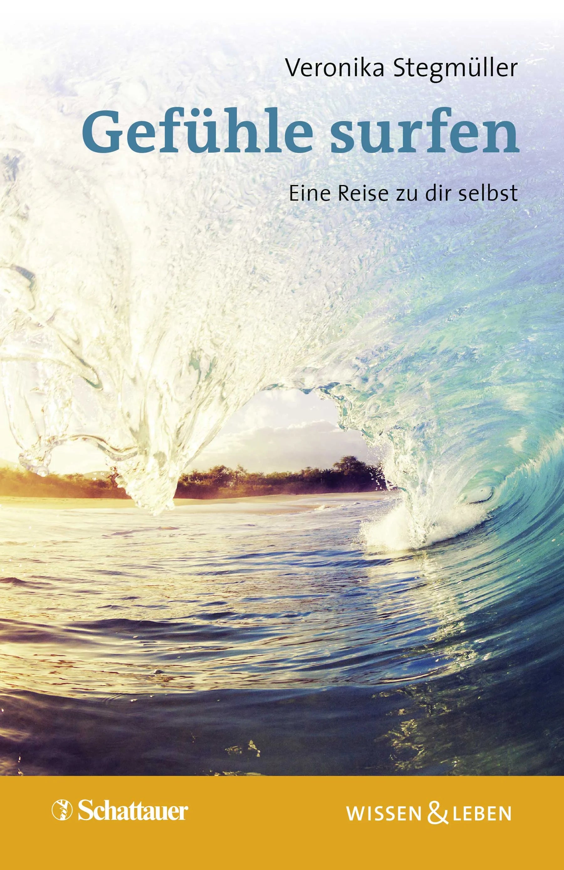 Buchcover von 'Gefühle surfen' - Paperback von Veronika Stegmüller