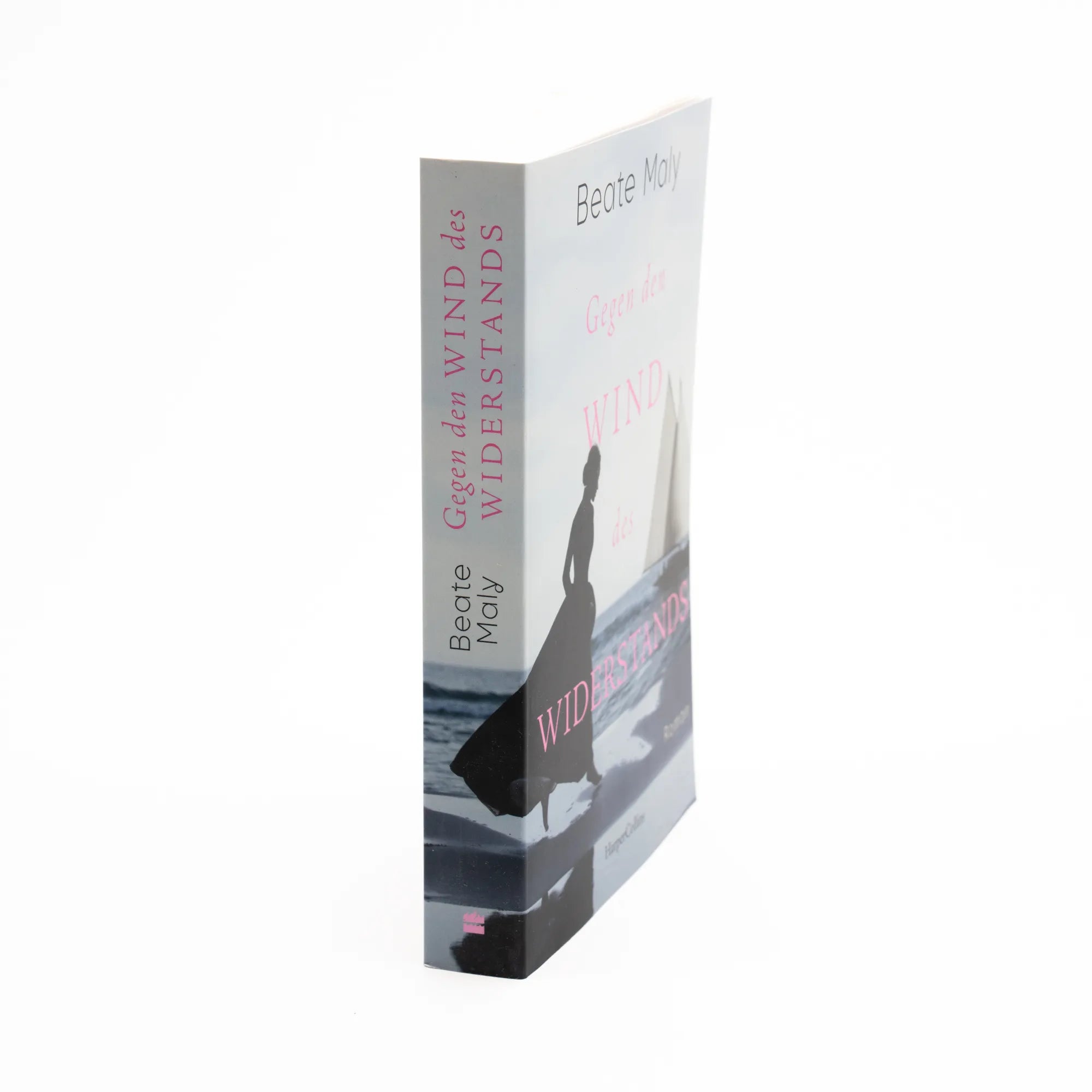 Produktansicht: Gegen den Wind des Widerstands (Taschenbuch)