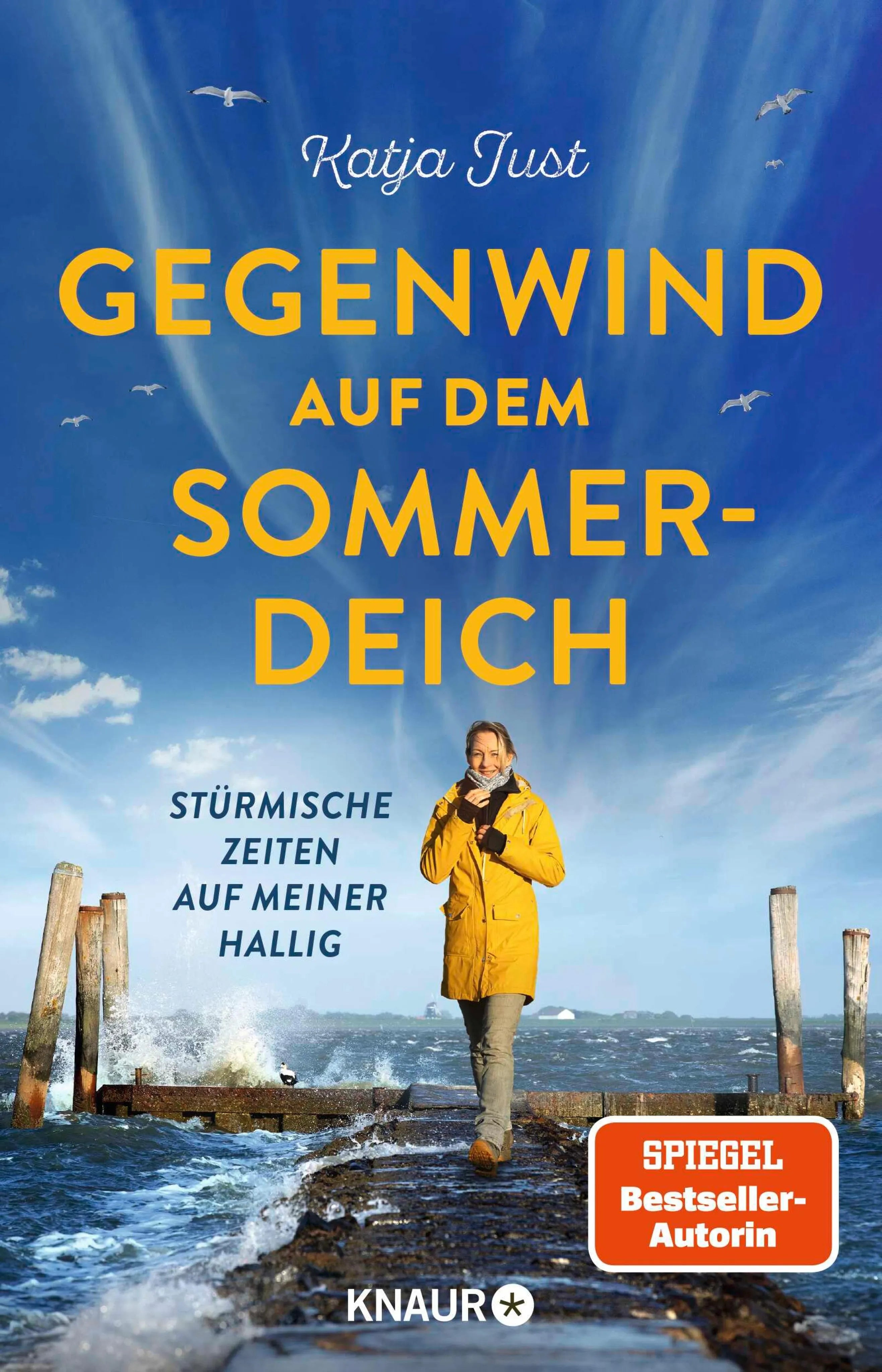 Cover: Gegenwind auf dem Sommerdeich (E-Book) von Katja Just