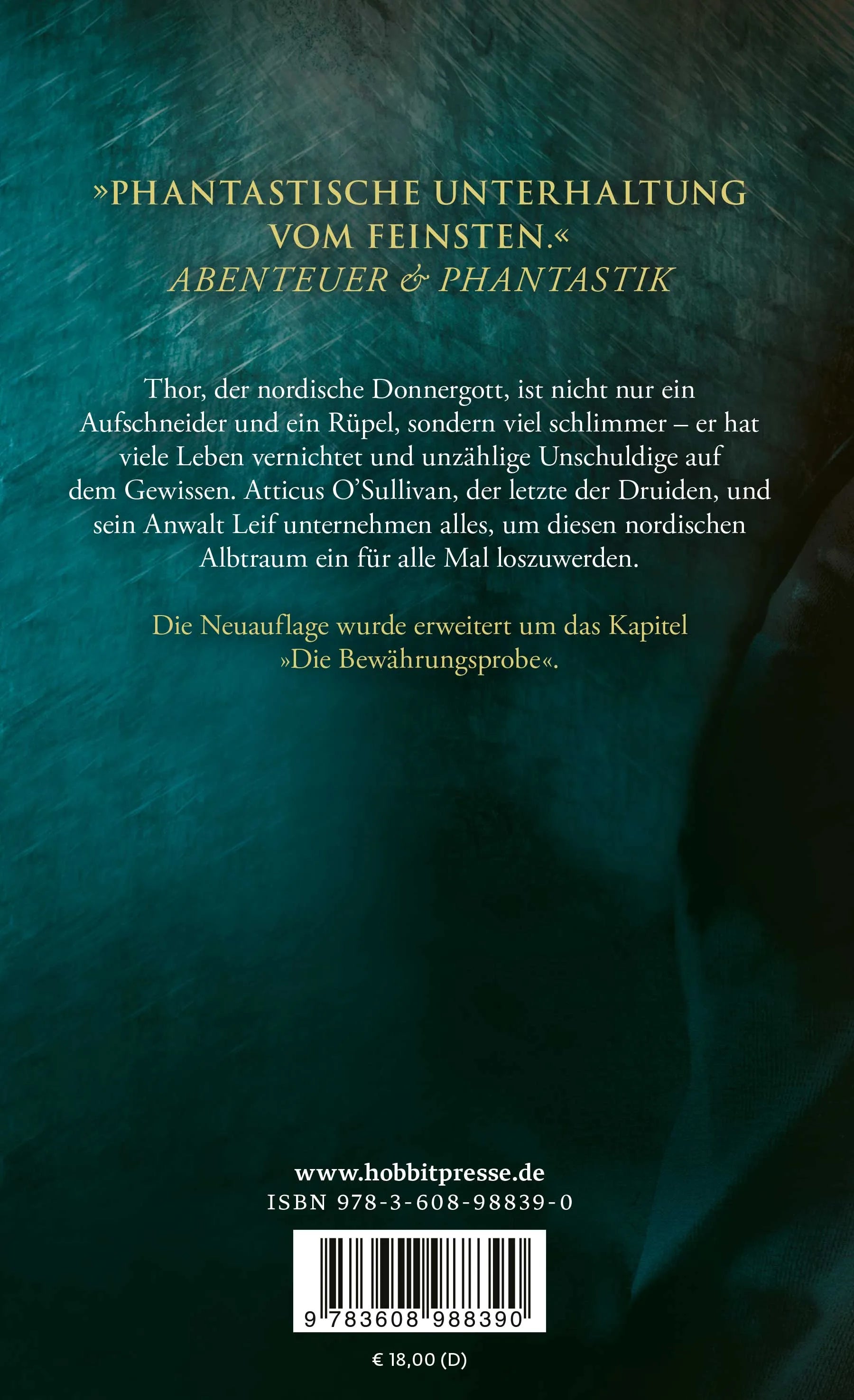 Buchrückseite von 'Gehämmert' mit Klappentext - Paperback
