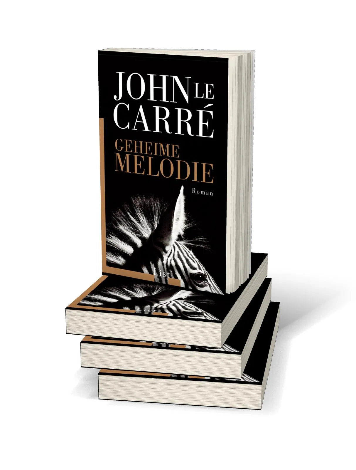 Produktansicht: Geheime Melodie (Taschenbuch)