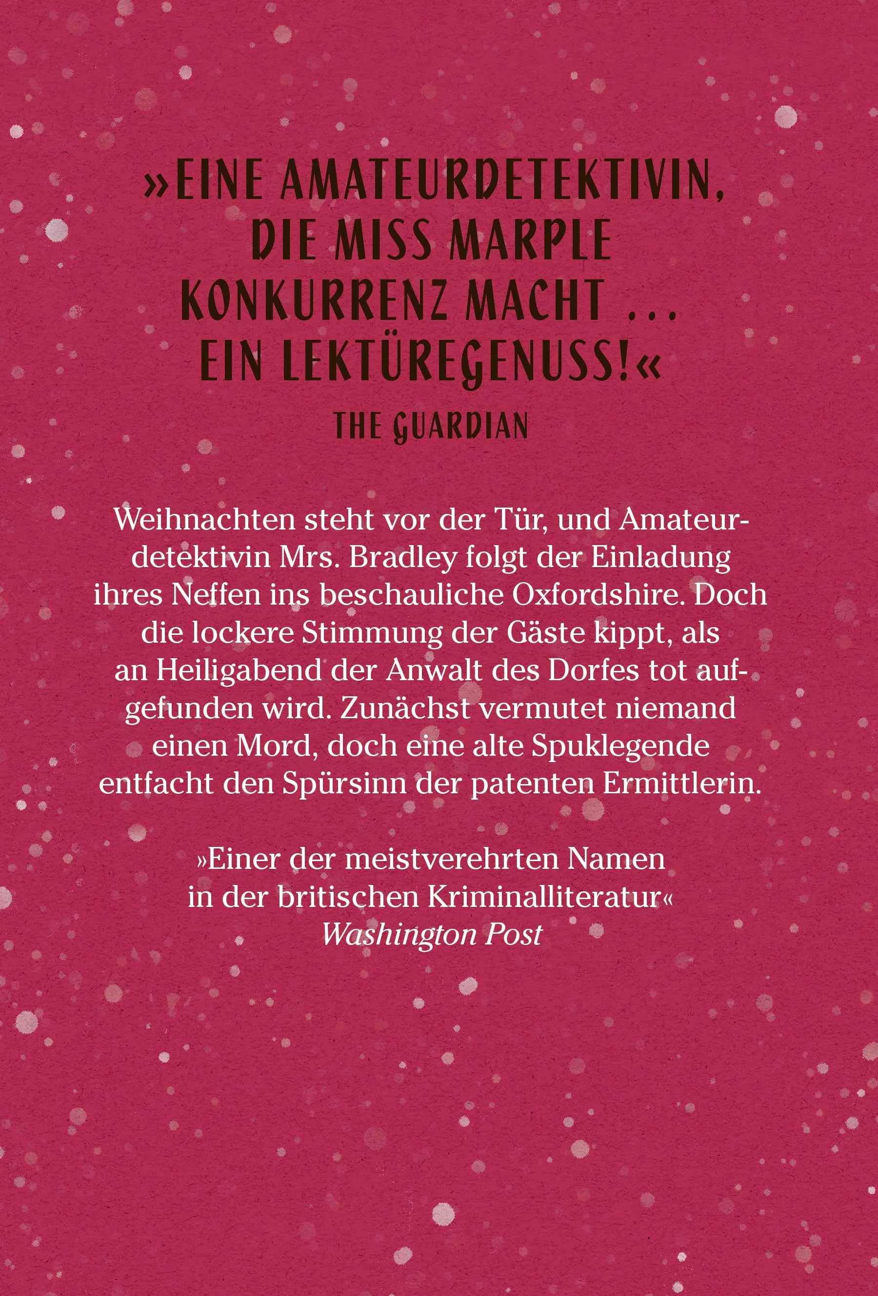Buchrückseite von 'Geheimnis am Weihnachtsabend' mit Klappentext - Gebundene Ausgabe