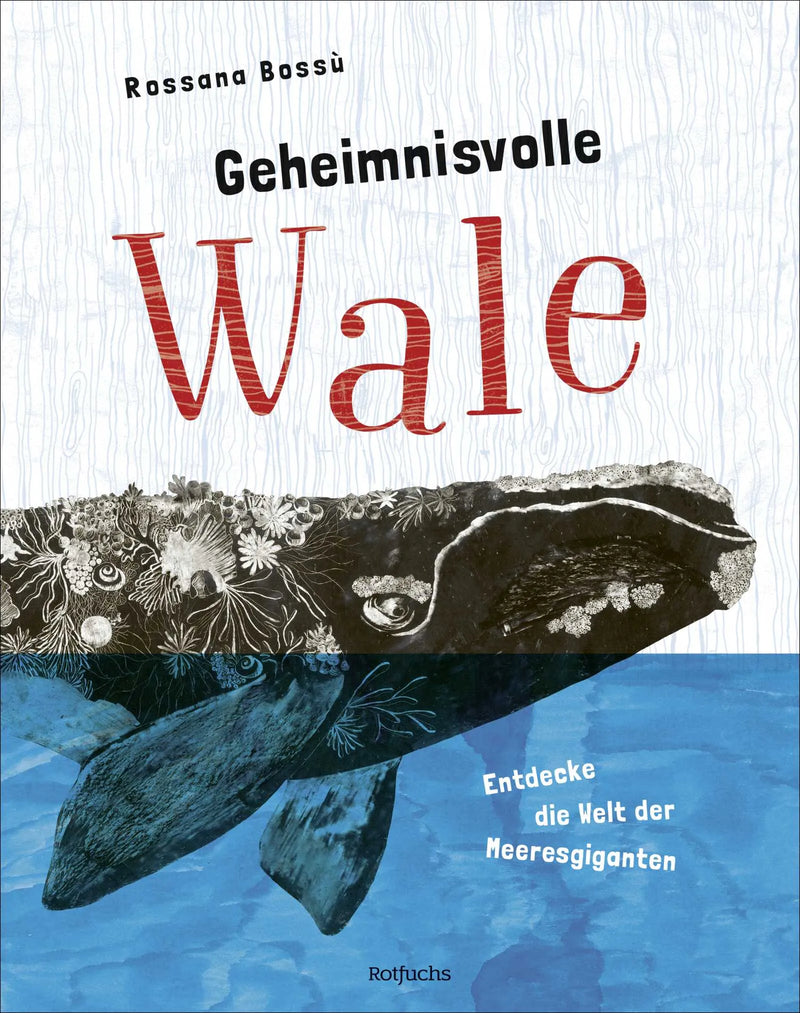 Geheimnisvolle Wale – Entdecke die Welt der Meeresgiganten