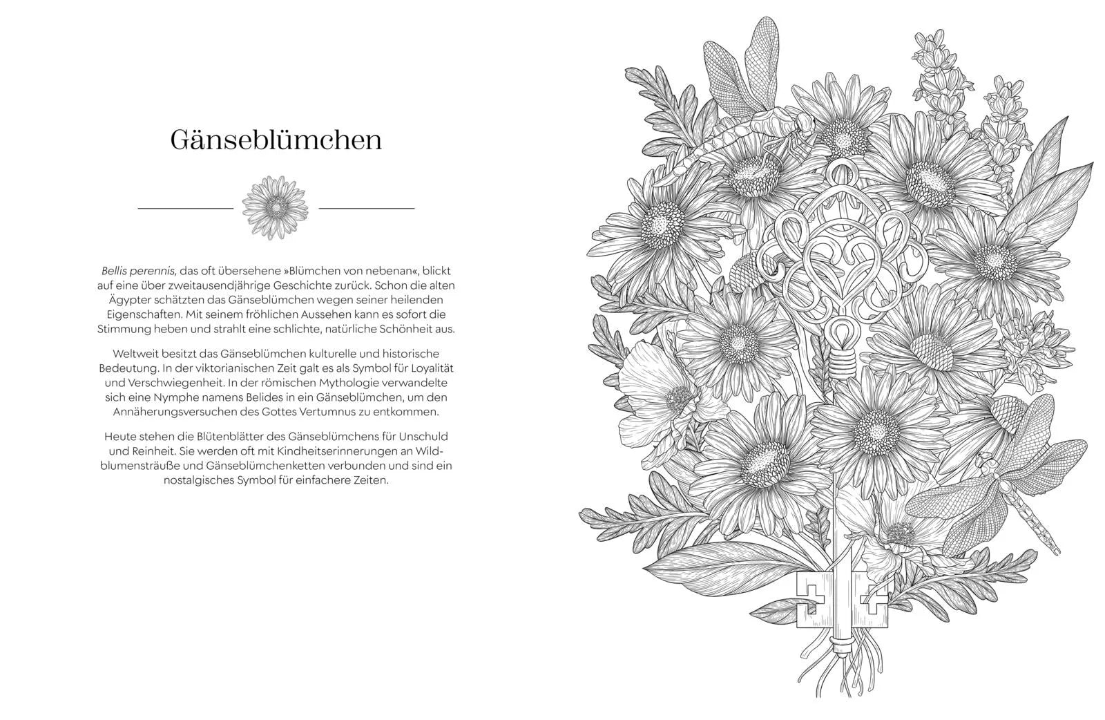 Innenansicht von 'Geheimnisvoller Blütenzauber zum Ausmalen' - Taschenbuch