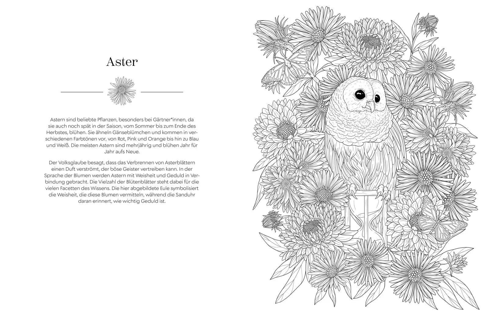 Innenansicht von 'Geheimnisvoller Blütenzauber zum Ausmalen' - Taschenbuch