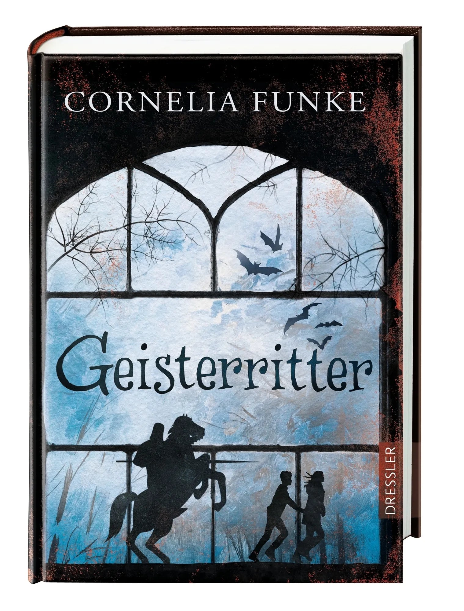 Produktansicht: Geisterritter (Gebundene Ausgabe)