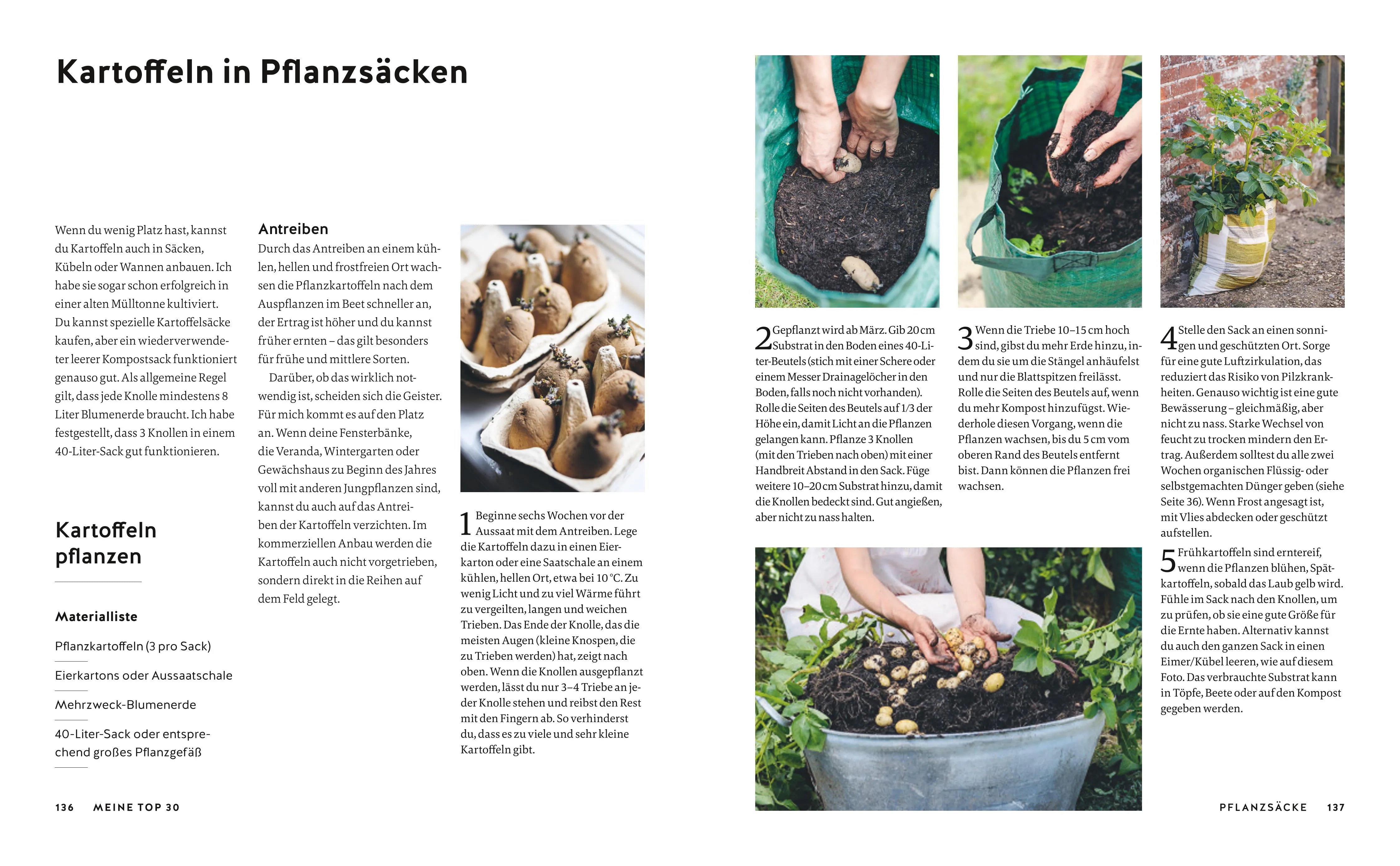 Produktansicht: Gemüse einfach anbauen (Gebundene Ausgabe)