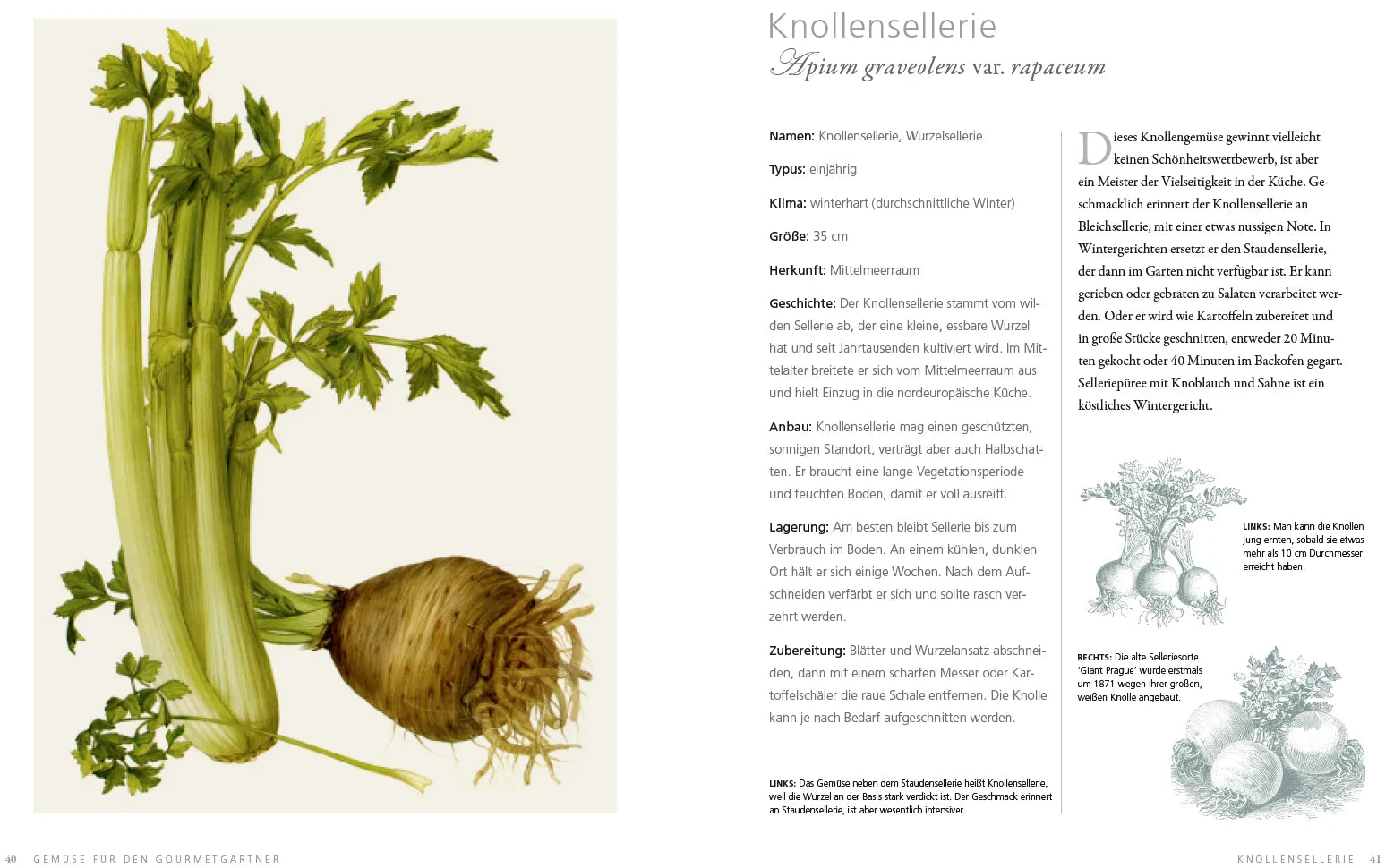 Produktansicht: Gemüse für den Gourmetgärtner (Gebundene Ausgabe)