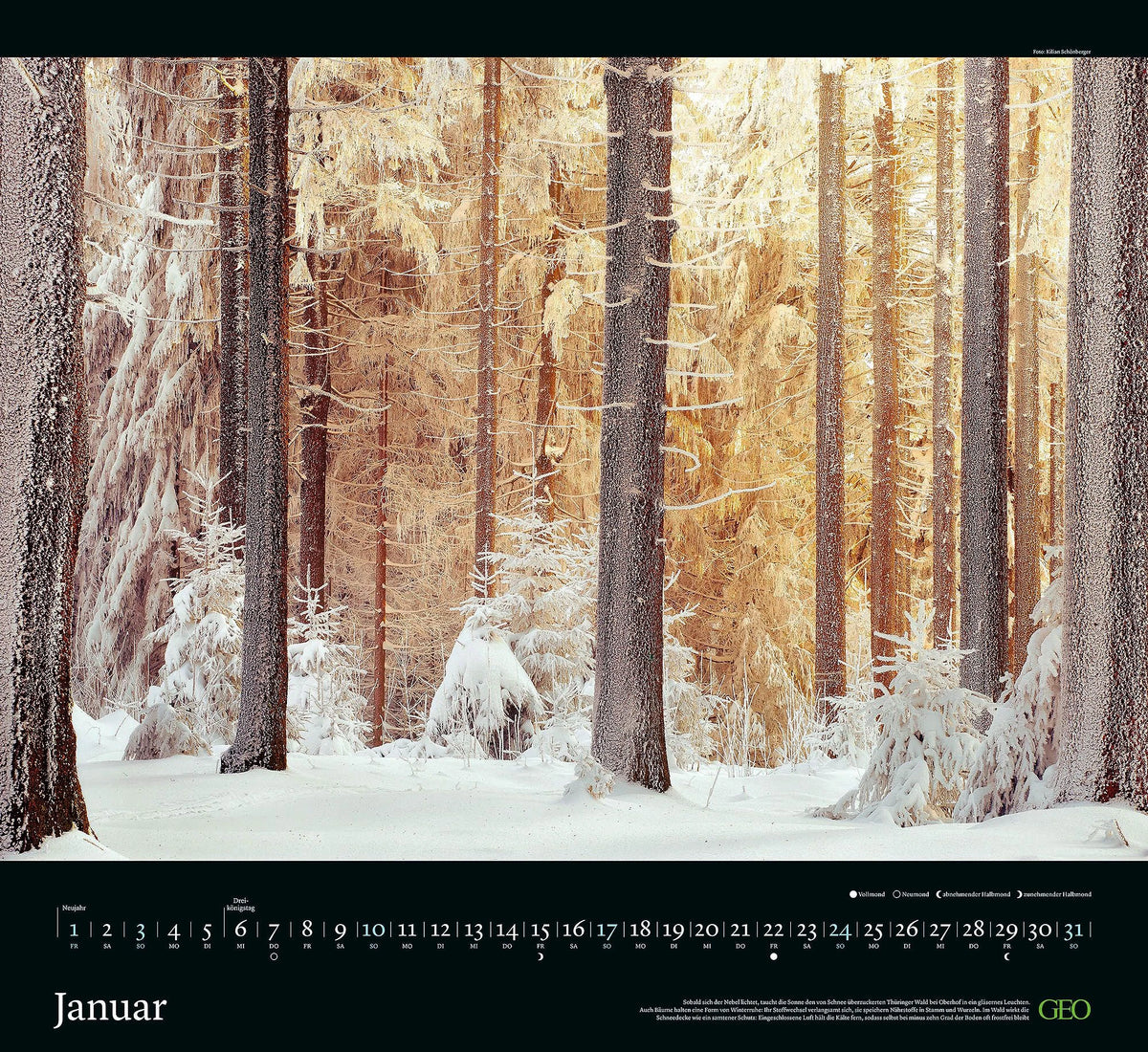 GEO Kalender: Sehnsucht Wald 2027 – Ansicht