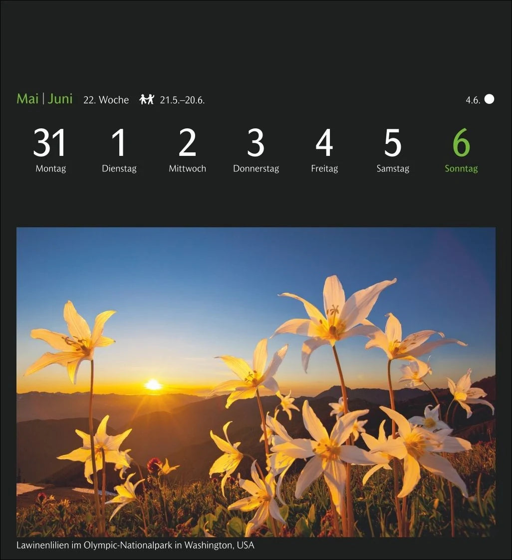 GEO Magische Natur Postkartenkalender 2027 - Wochenkalender mit 53 Postkarten – Ansicht