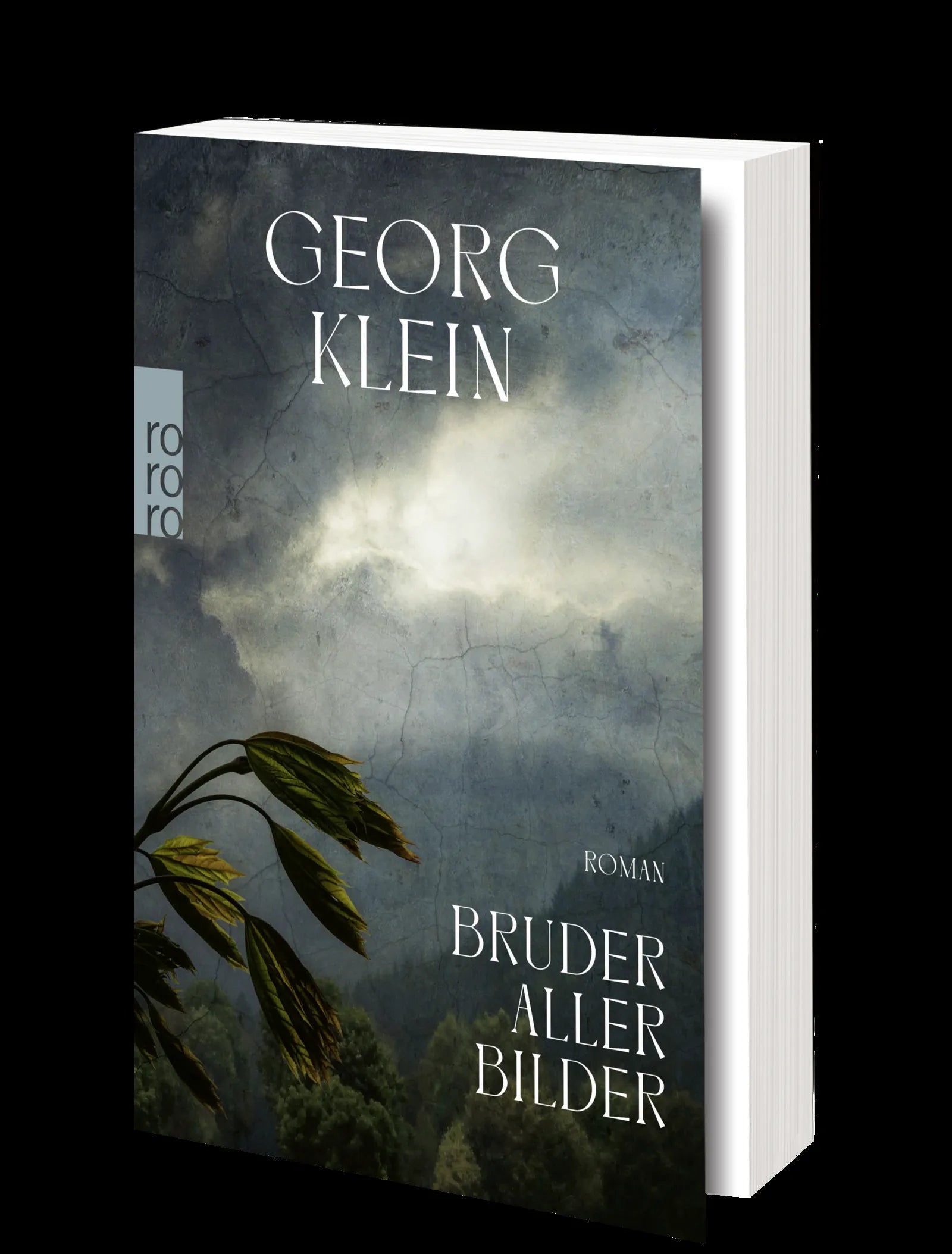 Produktansicht: Bruder aller Bilder (Taschenbuch)