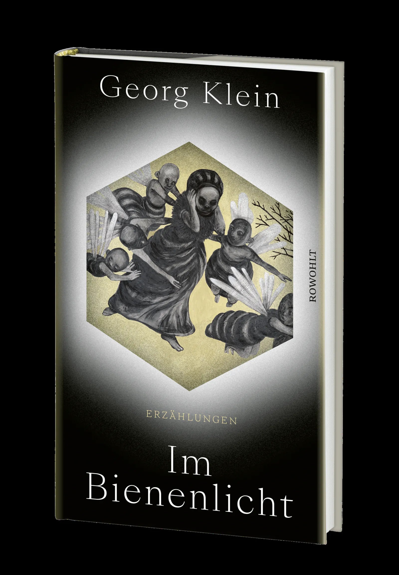 Produktansicht: Im Bienenlicht (Gebundene Ausgabe)