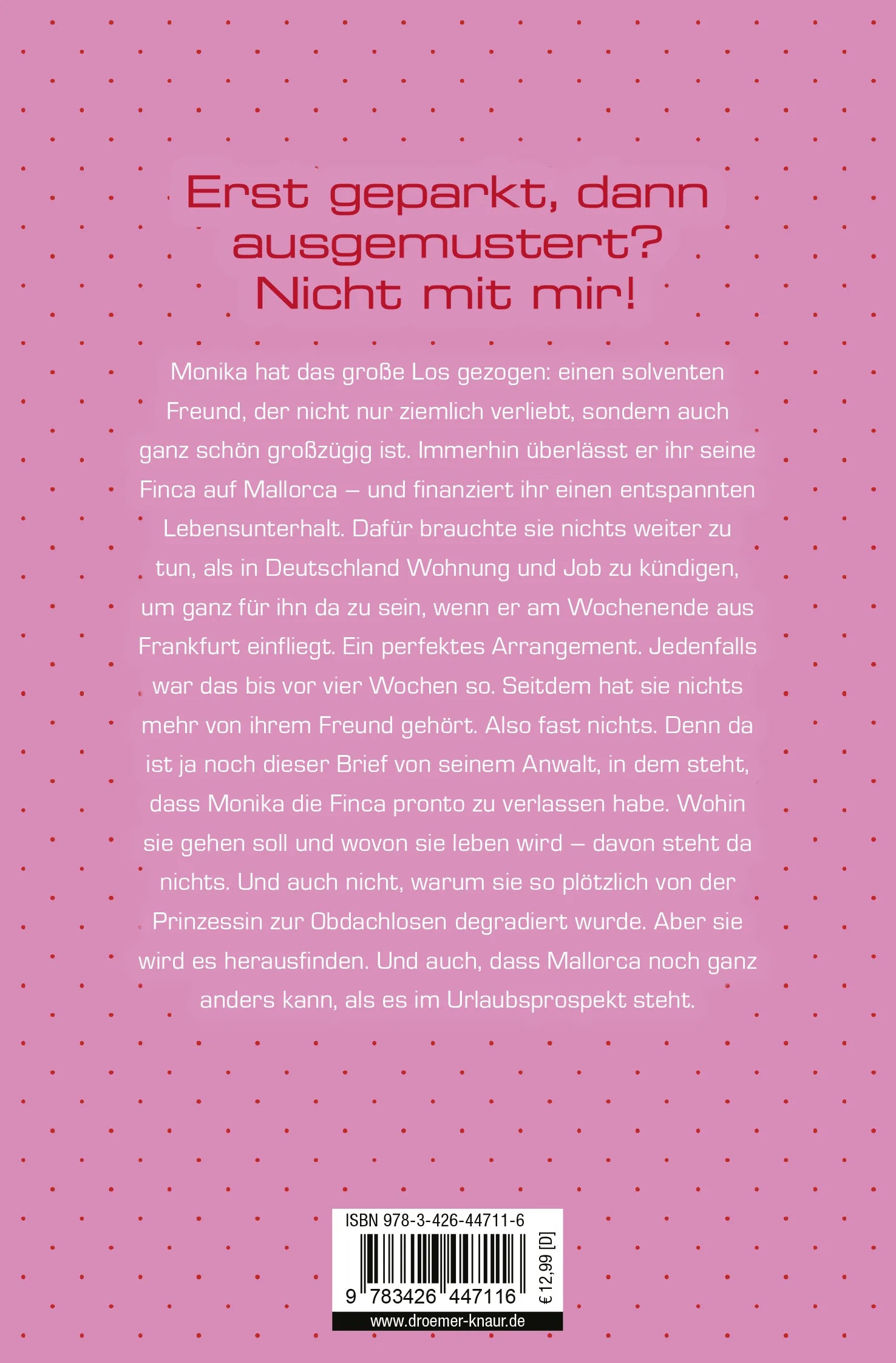 Buchrückseite von 'Geparkt' mit Klappentext - Taschenbuch