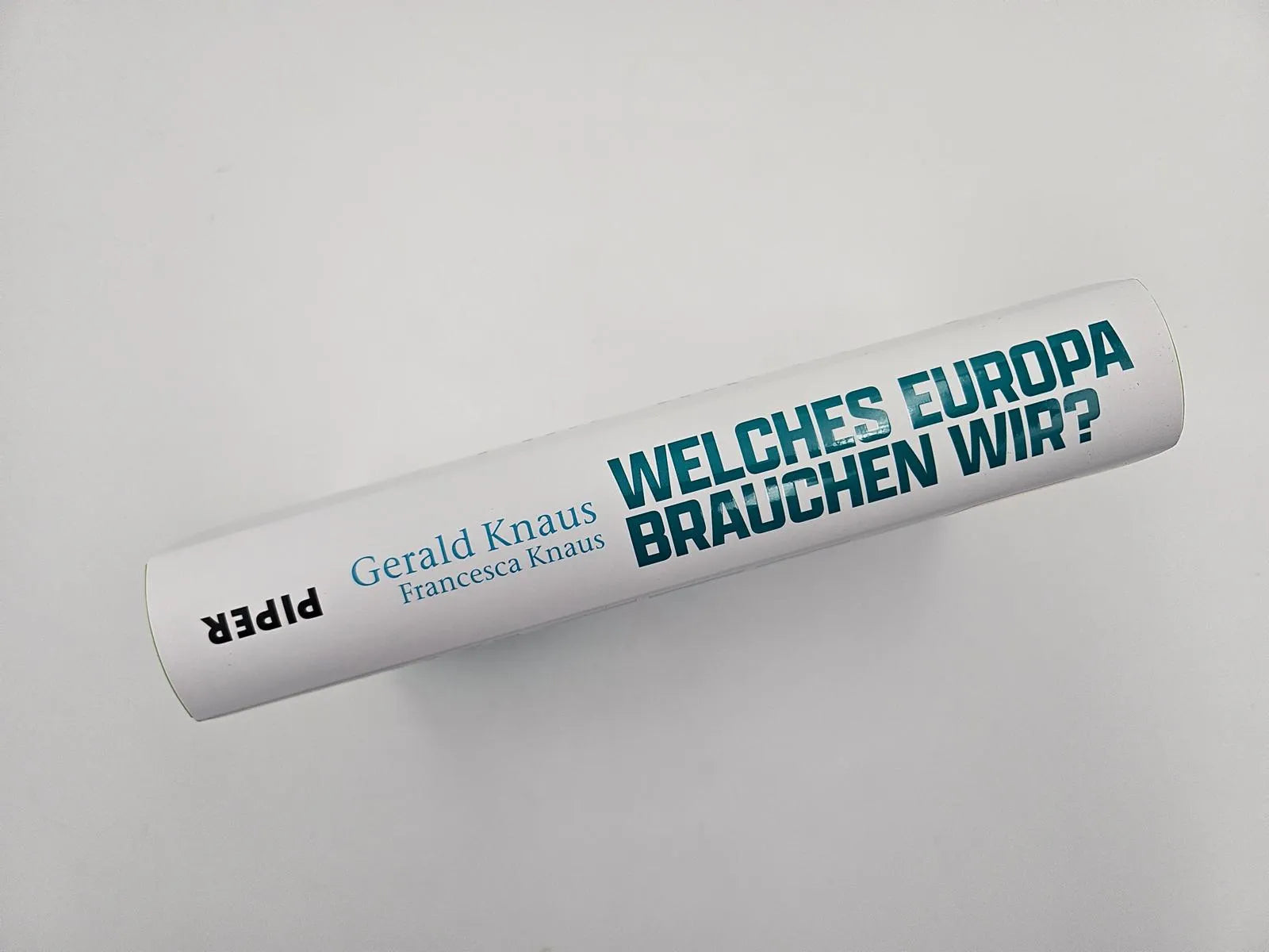 Produktansicht: Welches Europa brauchen wir? (Gebundene Ausgabe)