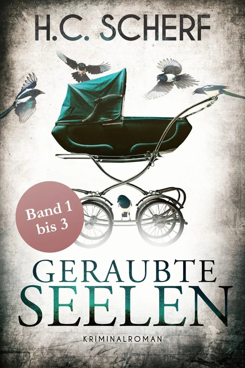 Cover: Geraubte Seelen (E-Book) von H.C. Scherf