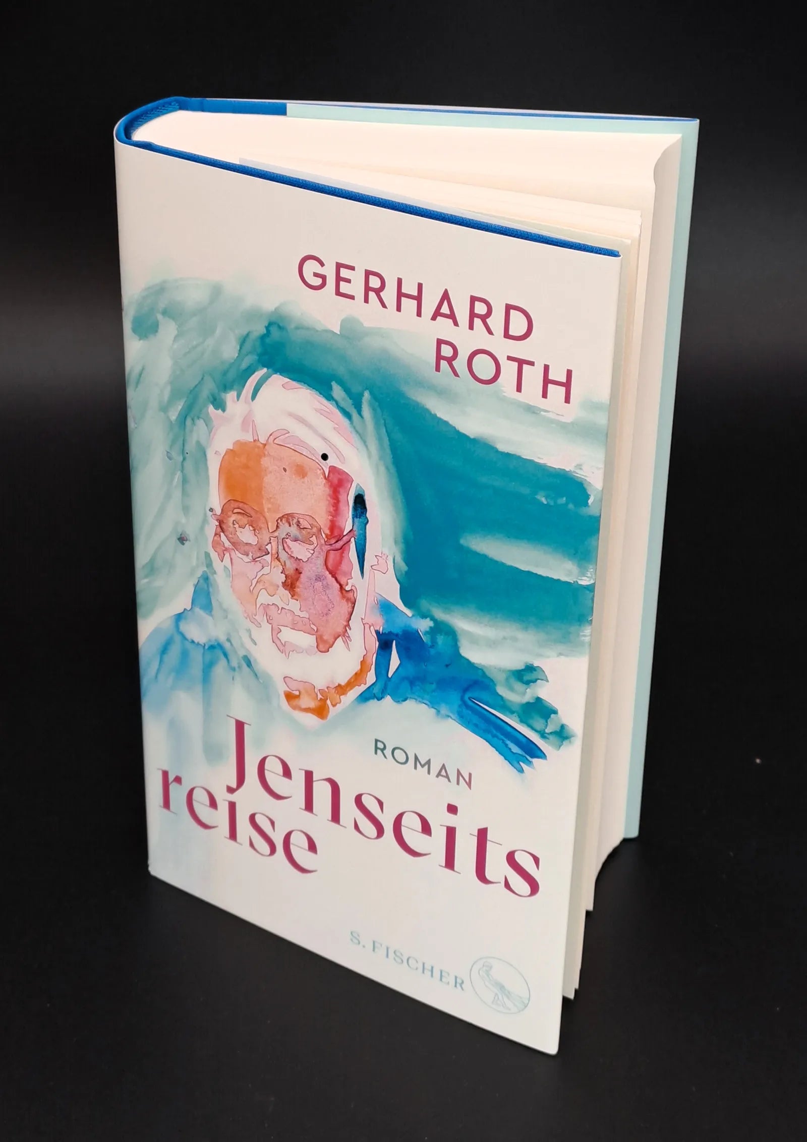 Produktansicht: Jenseitsreise (Gebundene Ausgabe)