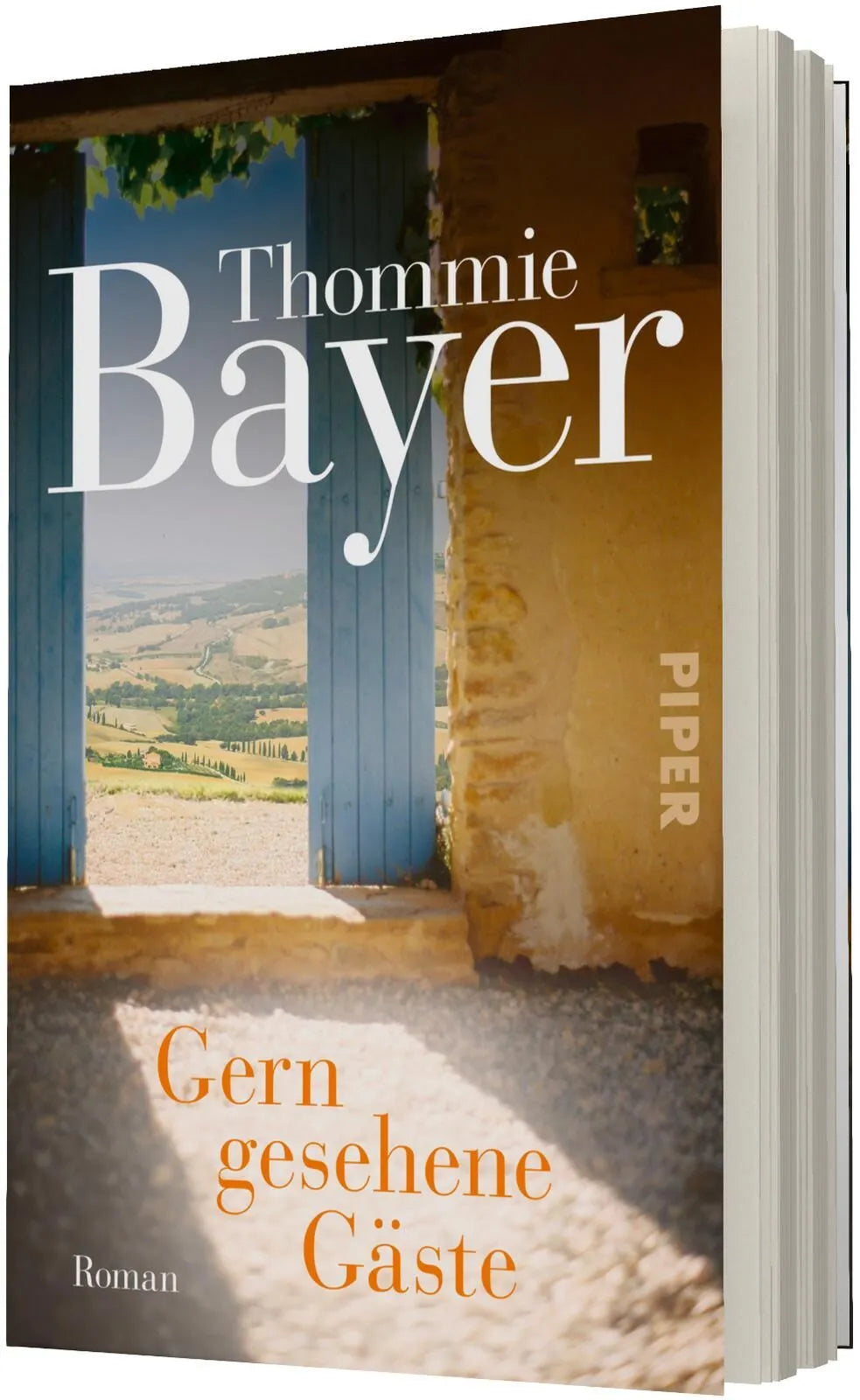 Detailansicht: Gern gesehene Gäste (Taschenbuch)
