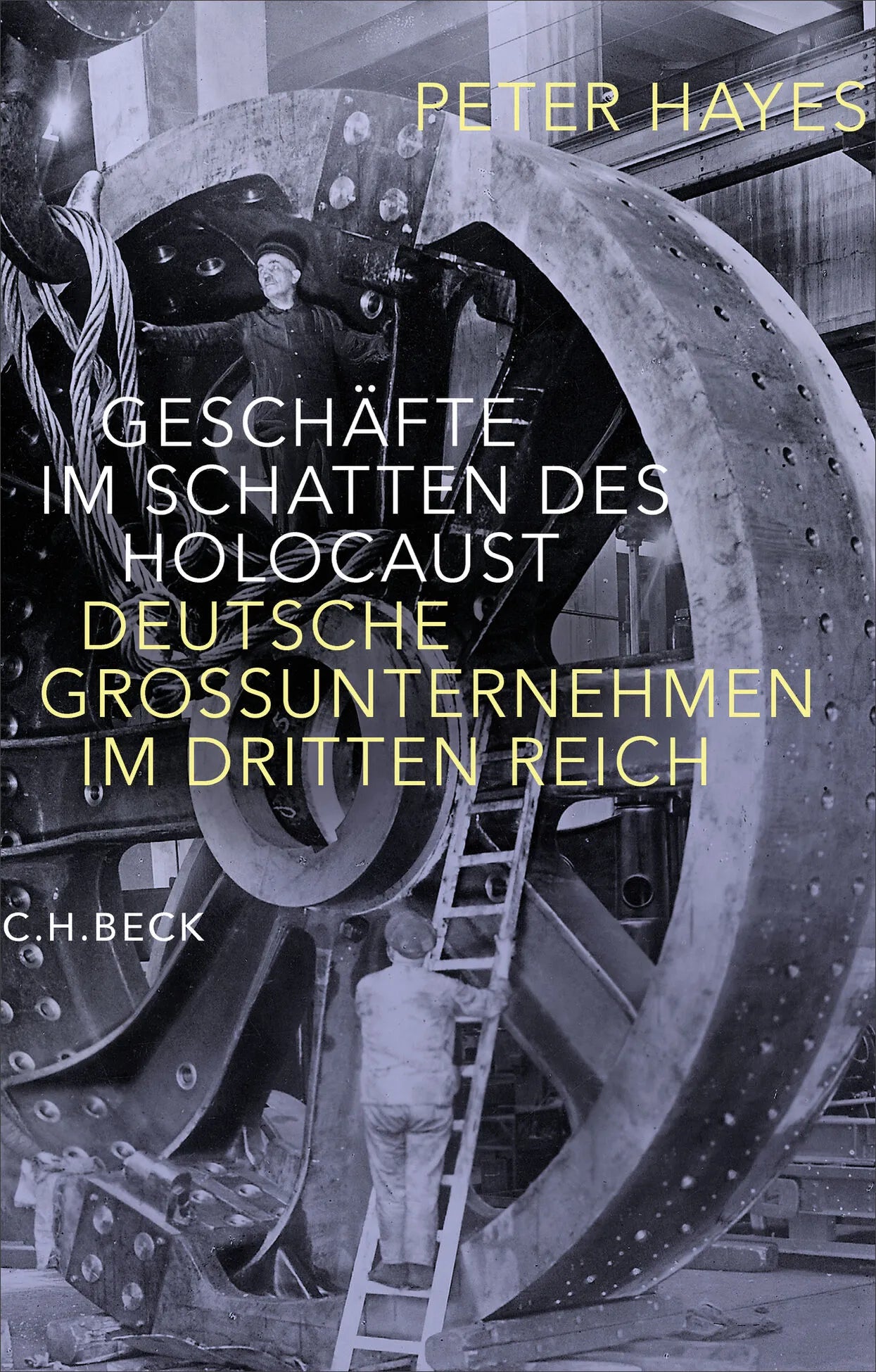 Cover: Geschäfte im Schatten des Holocaust (Hardcover) von Peter Hayes
