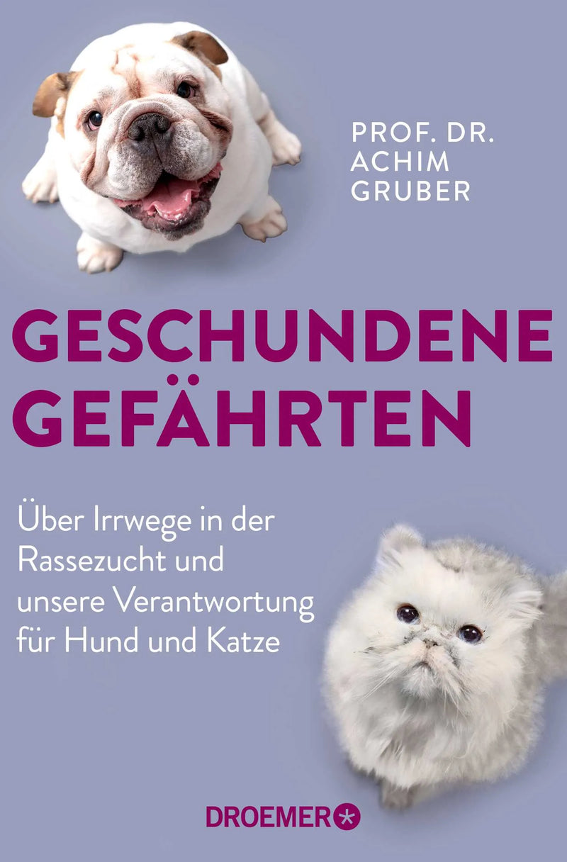 Geschundene Gefährten