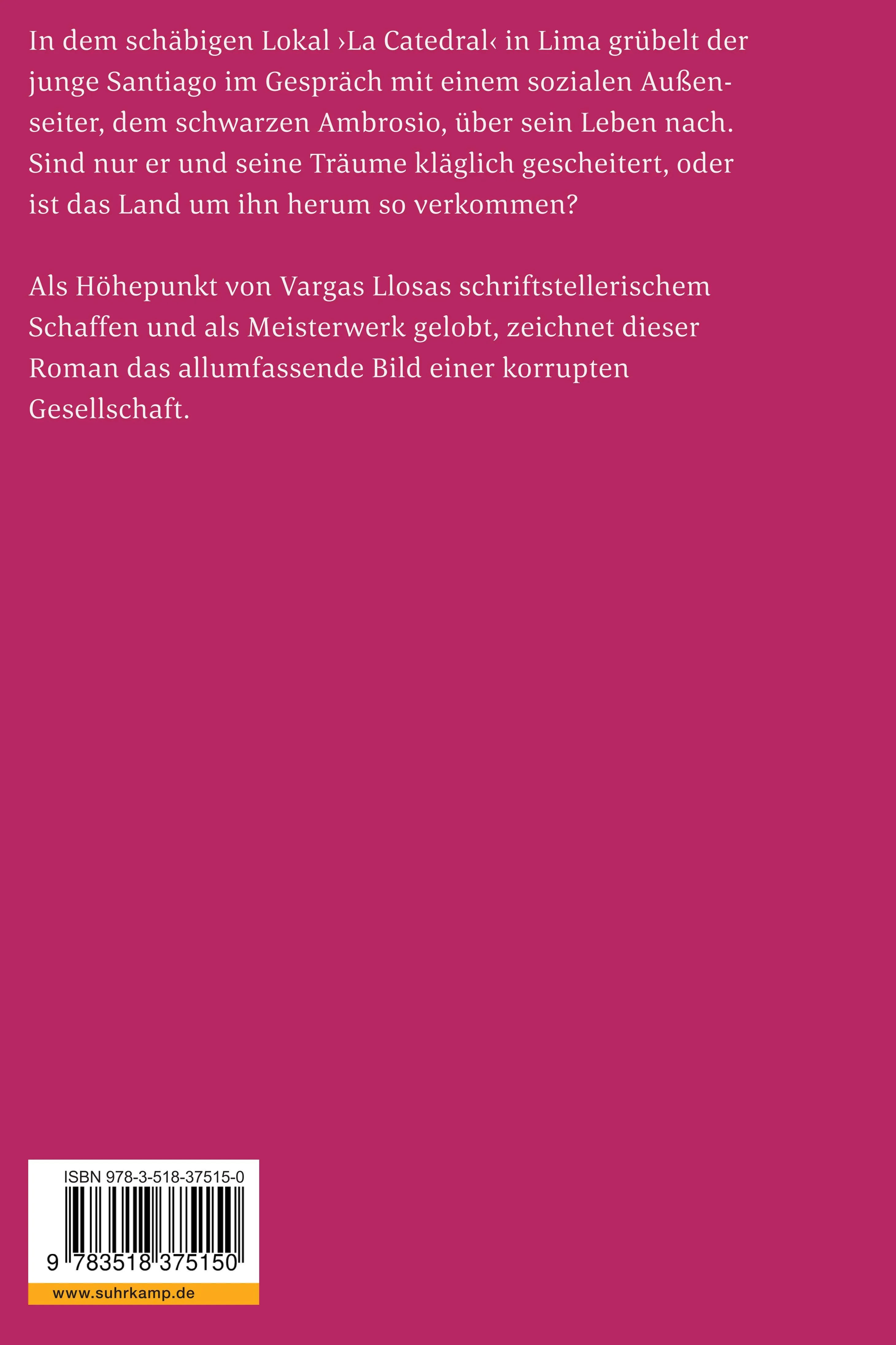 Buchrückseite von 'Gespräch in der »Kathedrale«' mit Klappentext - Taschenbuch