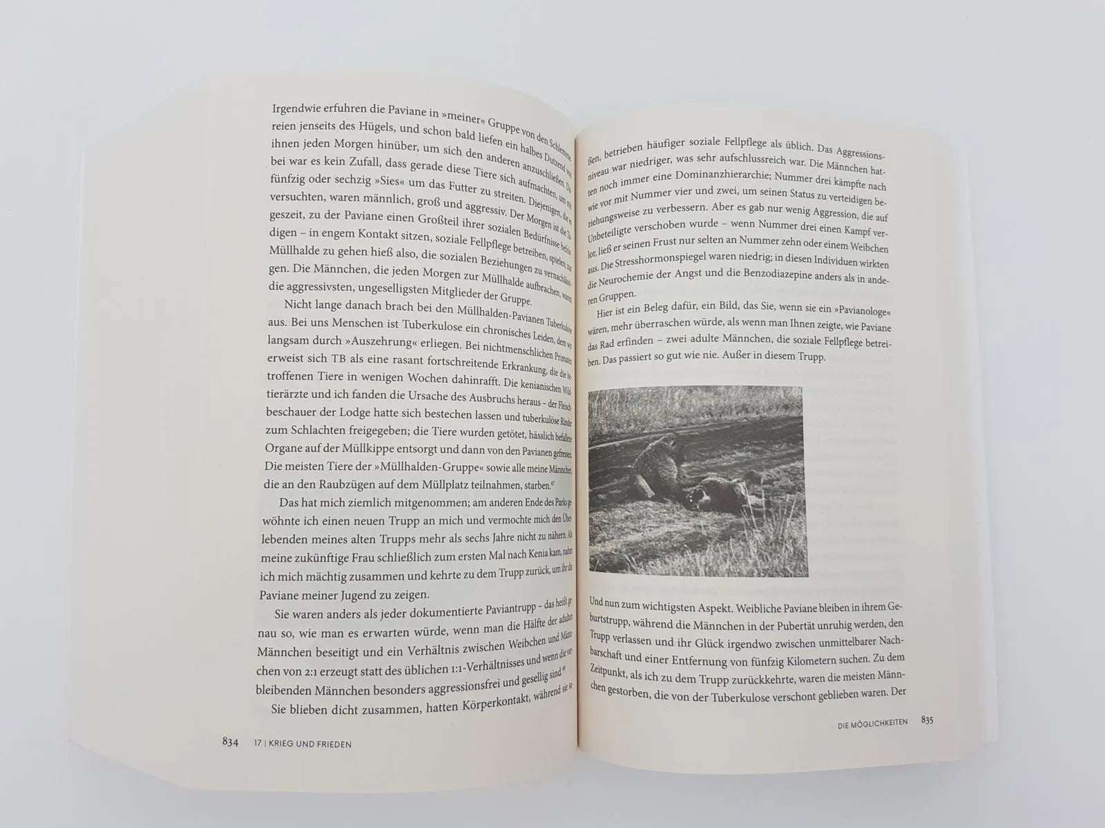 Produktansicht: Gewalt und Mitgefühl (Taschenbuch)