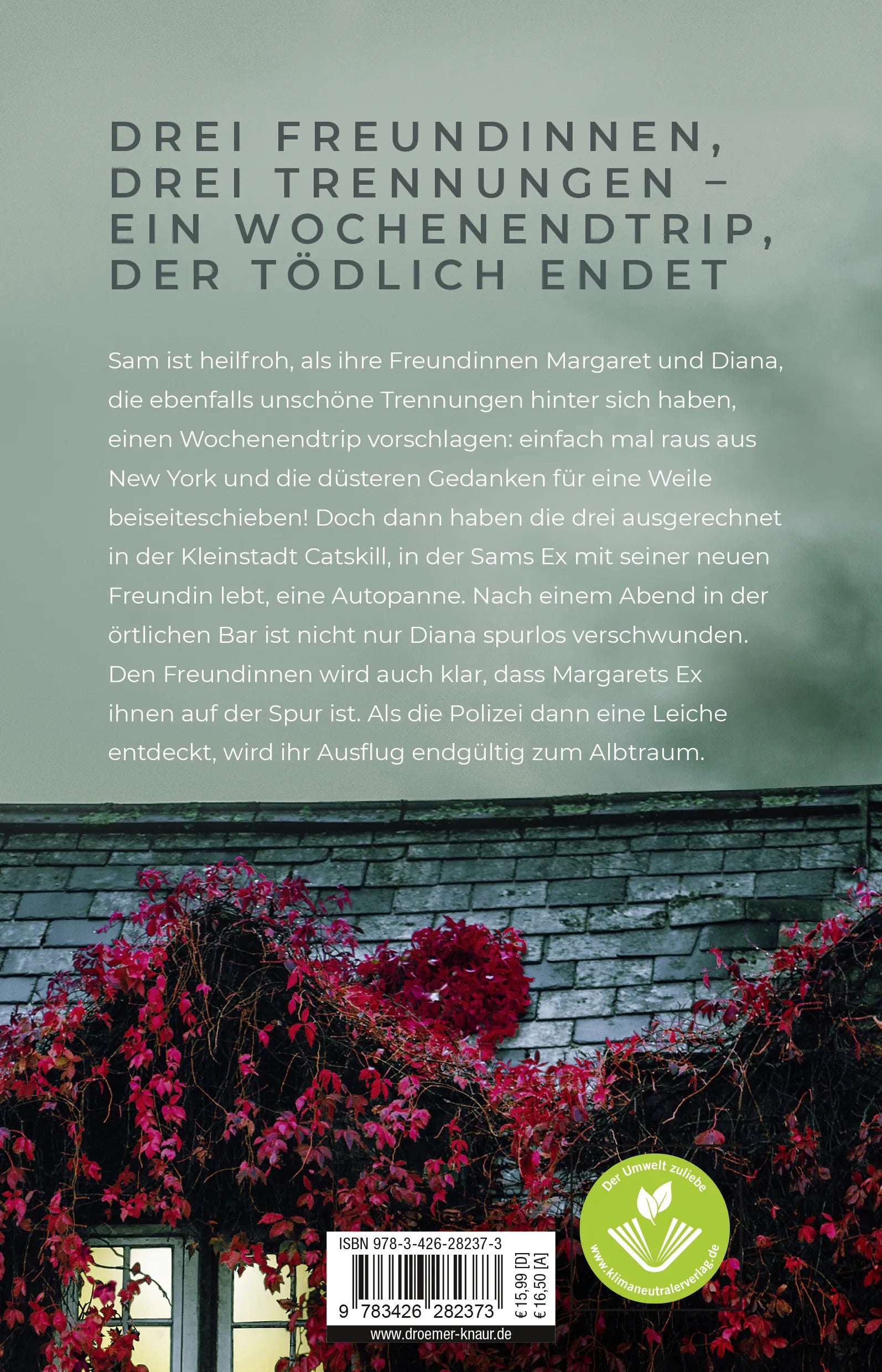 Buchrückseite von 'Gib mir deine Angst' mit Klappentext - Paperback