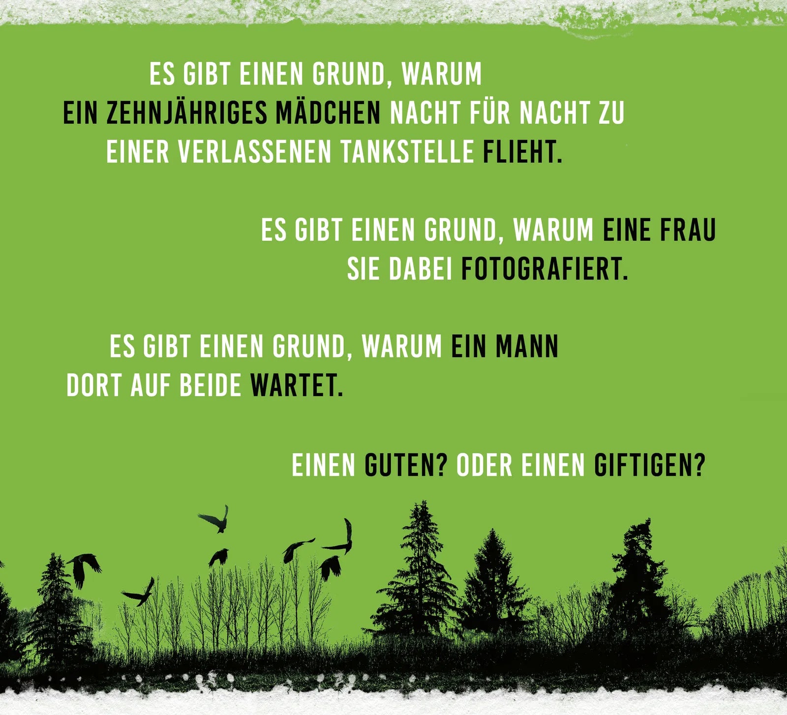 Detailansicht: Giftiger Grund (Paperback)