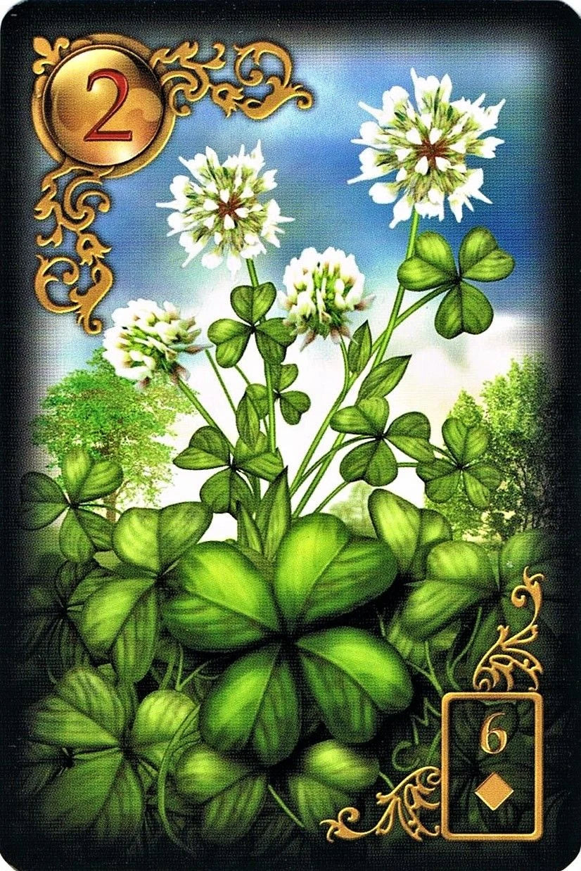 Gilded Reverie Lenormand – Ansicht