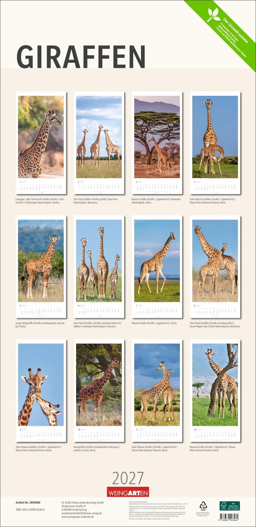 Giraffen Kalender 2027 – Ansicht