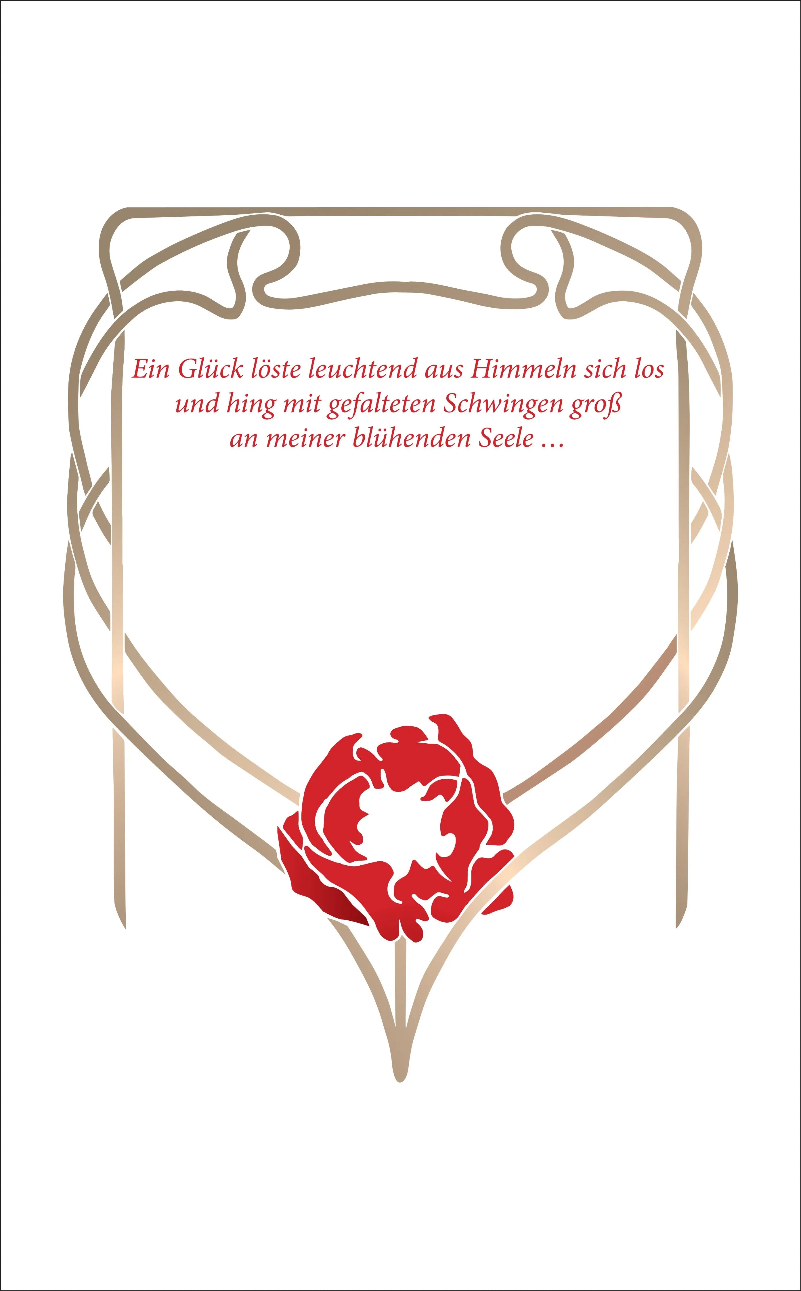 Buchrückseite von 'Glück' mit Klappentext - Taschenbuch