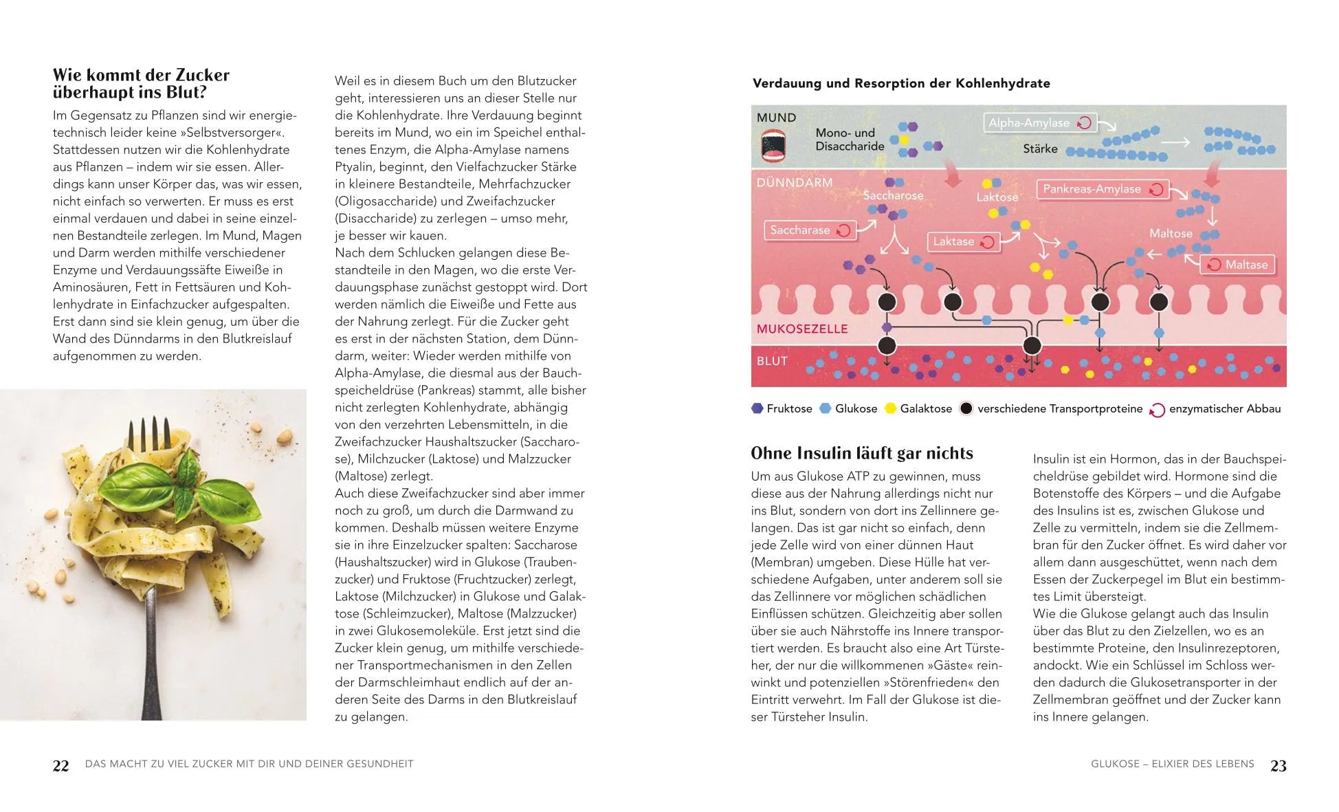 Produktansicht: Glukose - Blutzucker runter, Gesundheit rauf (Taschenbuch)