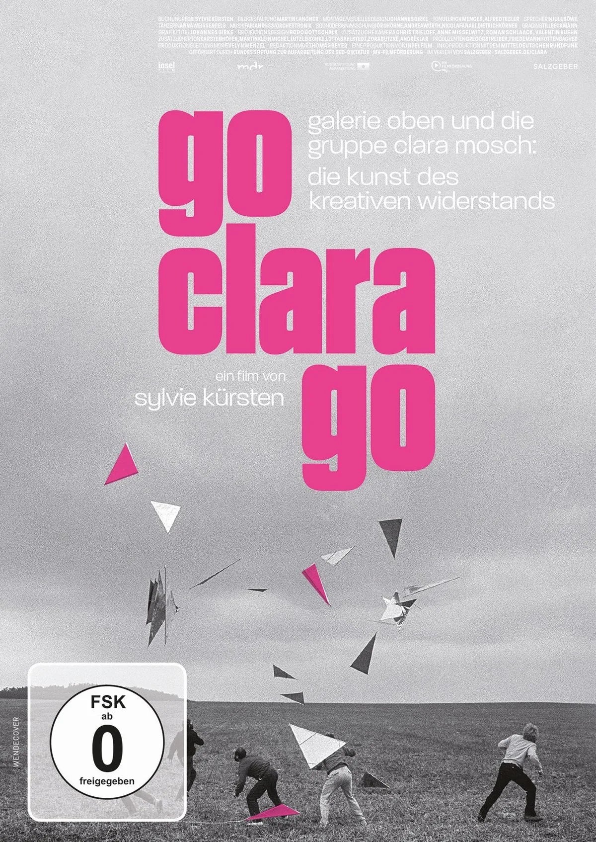 Go Clara Go: die Kunst des kreativen Widerstands - DVD