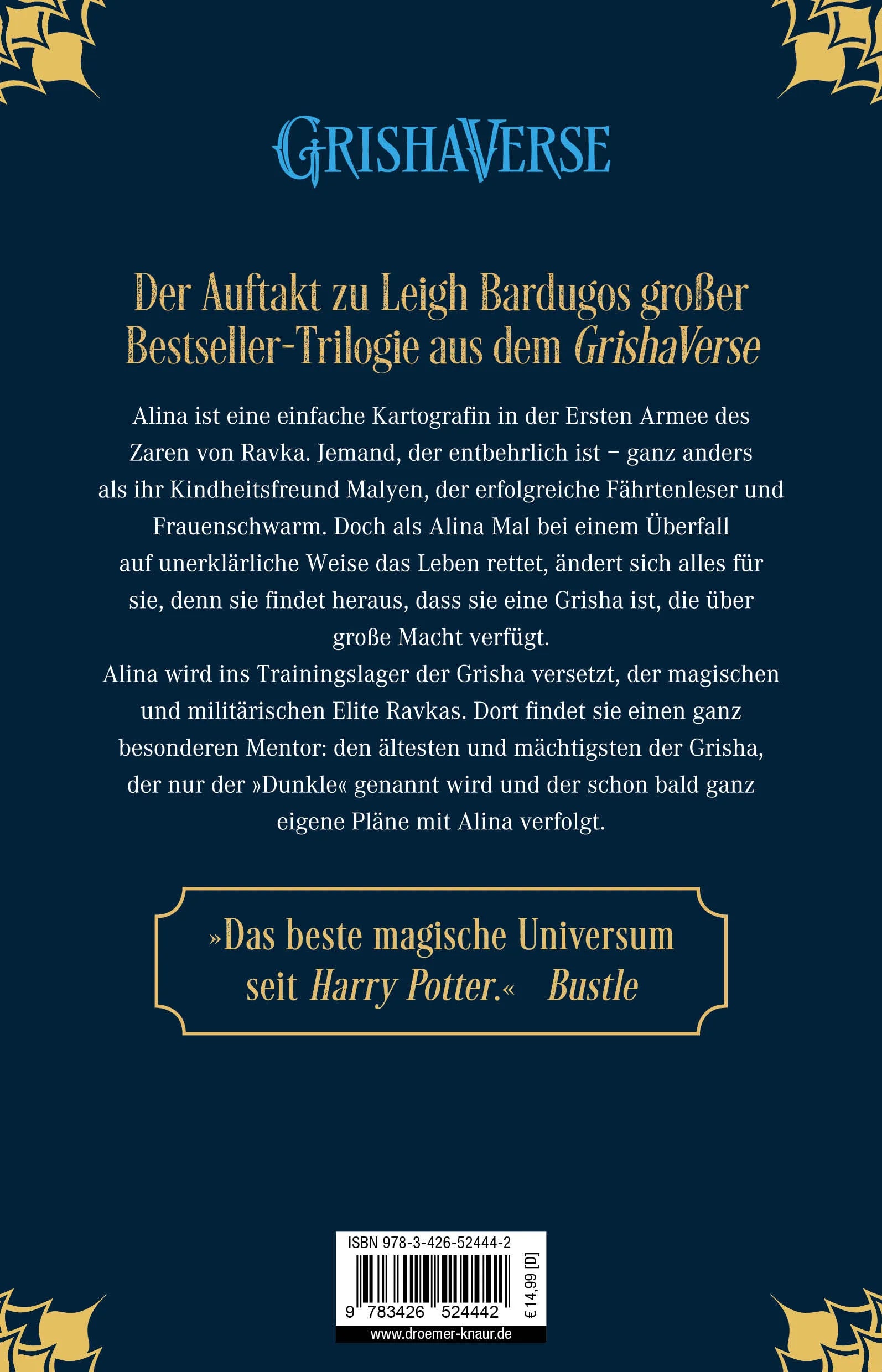 Buchrückseite von 'Goldene Flammen' mit Klappentext - Taschenbuch
