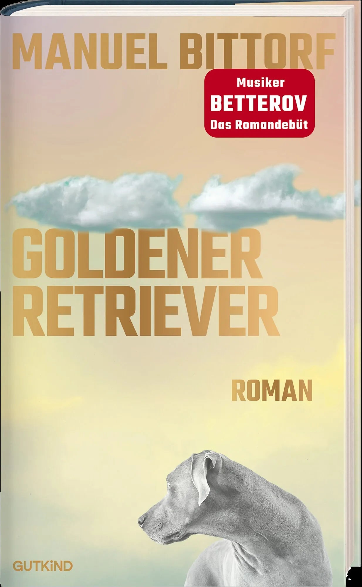 Detailansicht: Goldener Retriever (Hardcover)