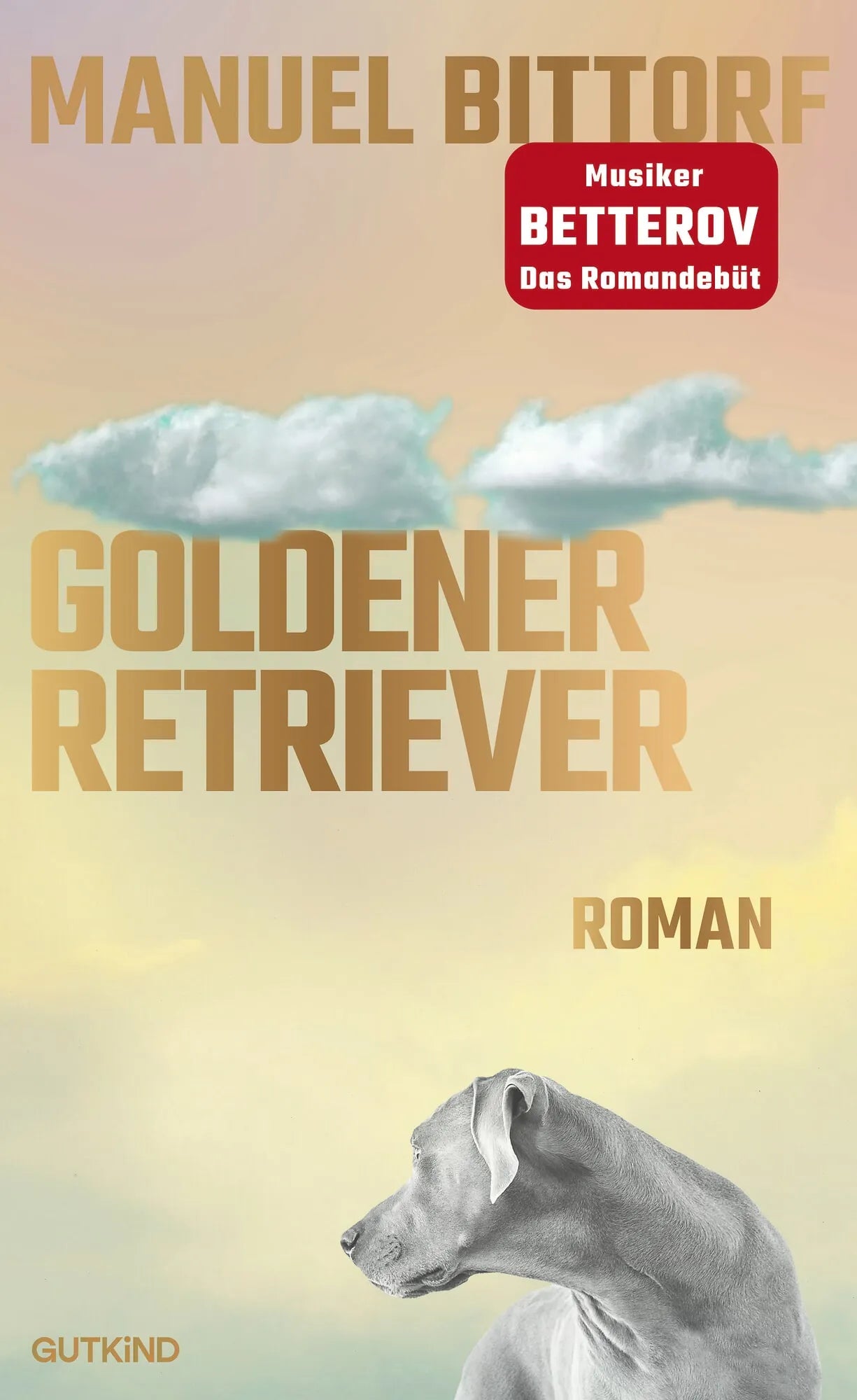 Cover: Goldener Retriever (Hardcover) von Manuel Bittorf