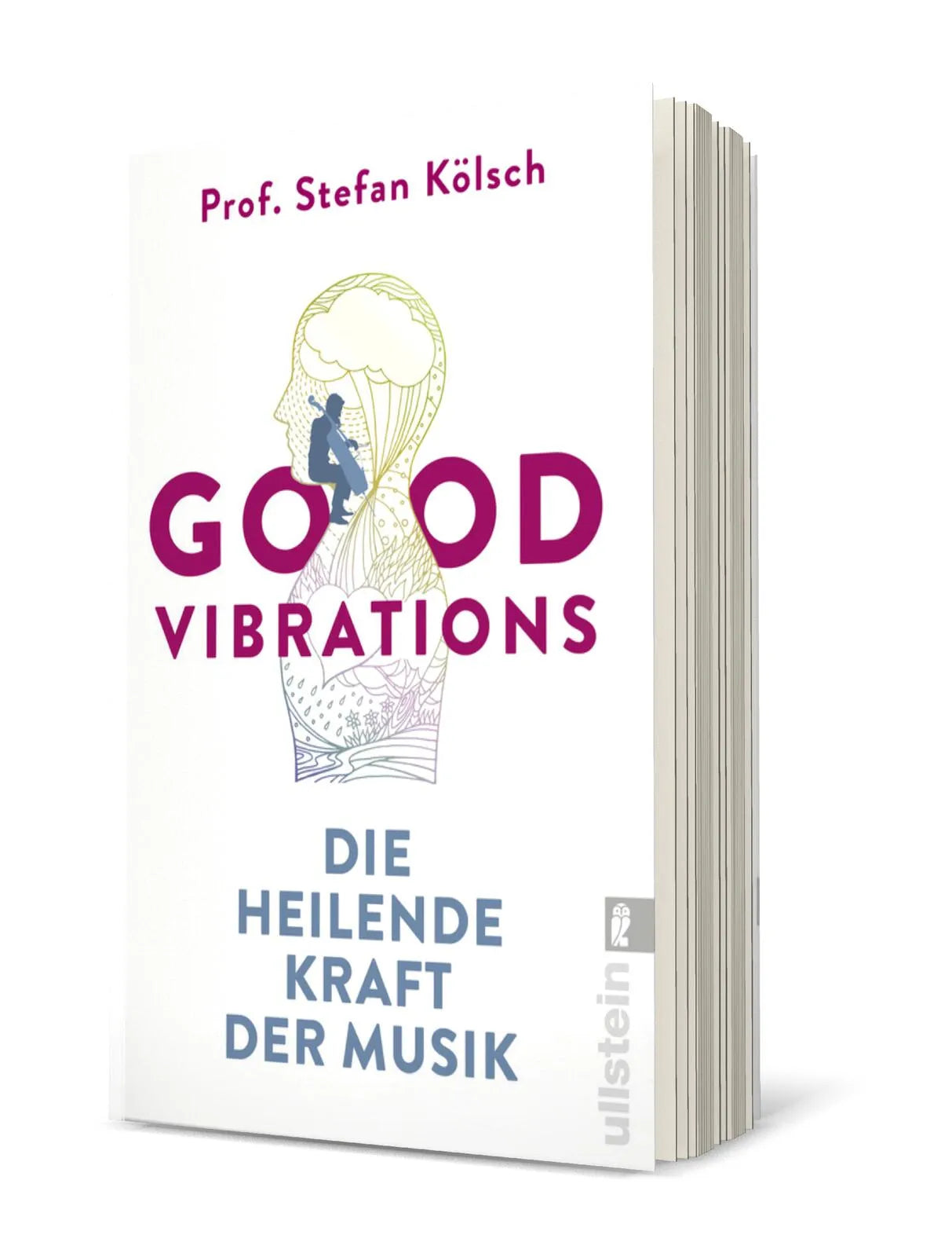 Produktansicht: Good Vibrations (Taschenbuch)