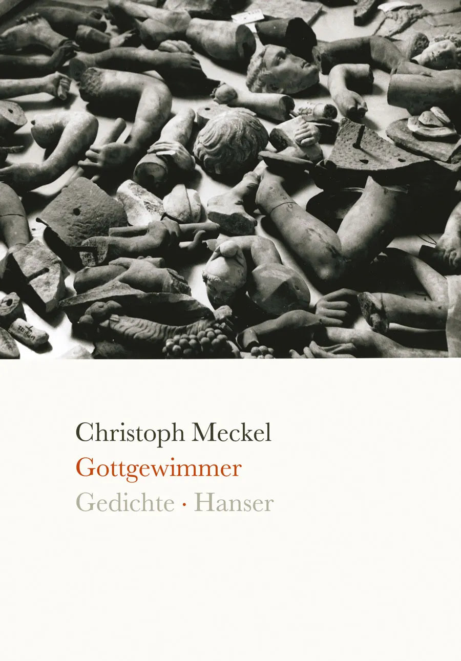 Buchcover von 'Gottgewimmer' - Gebundene Ausgabe von Christoph Meckel