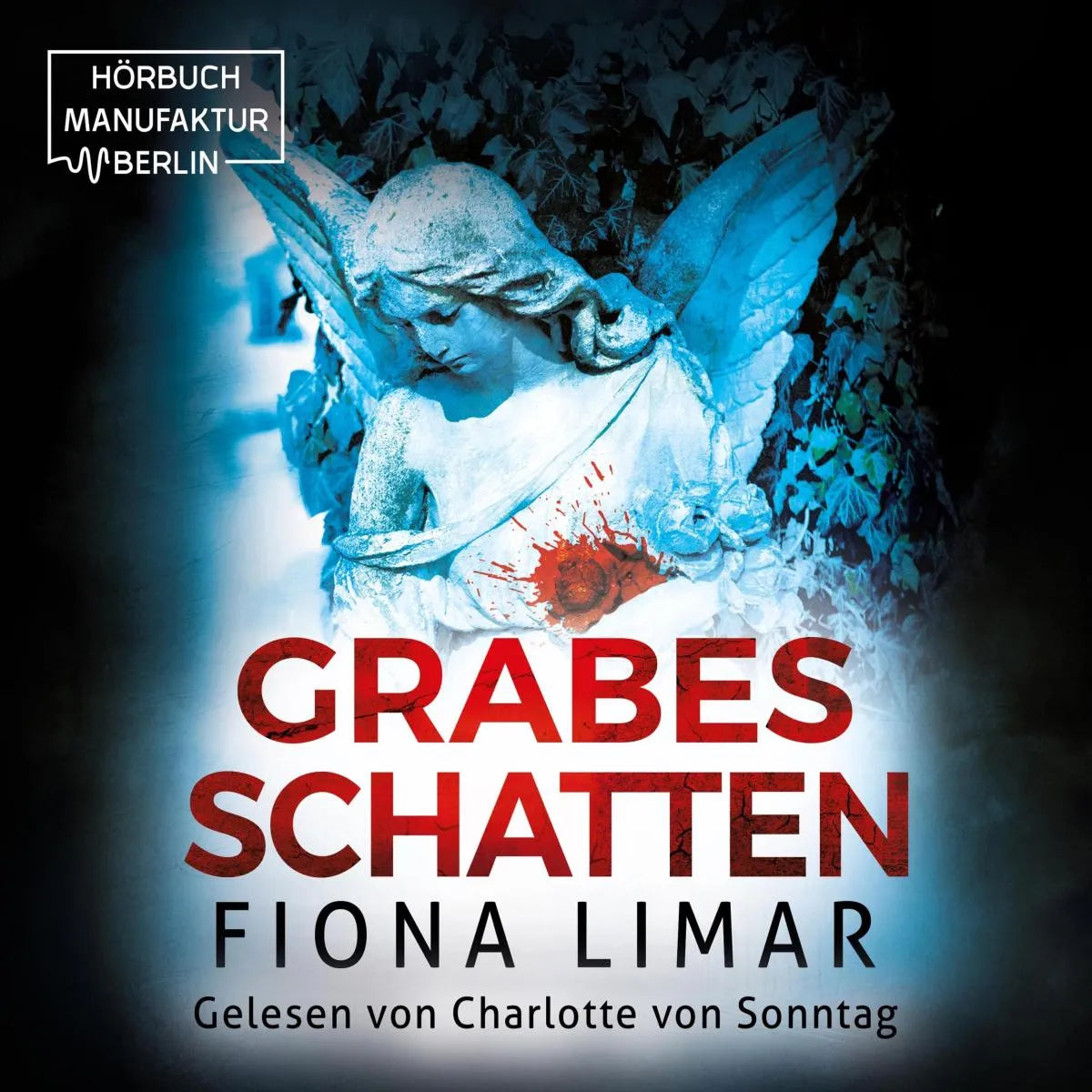 Cover: Grabesschatten (Hörbuch Download) von Fiona Limar