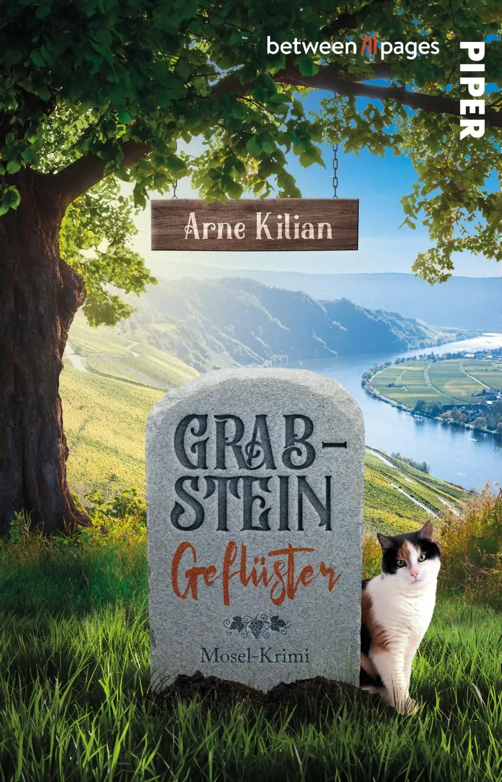 Cover: Grabsteingeflüster (Taschenbuch) von Arne Kilian